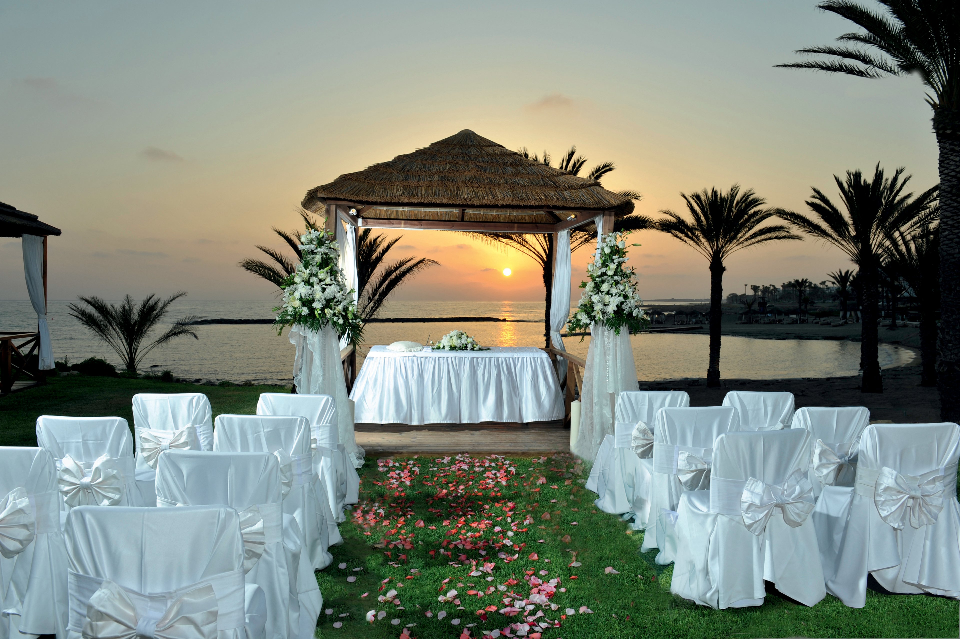 An outdoor wedding ceremony is set up on a grassy area overlooking the sea at sunset. White chairs with decorative bows form aisles leading to a floral-adorned gazebo and table. Palm trees frame the scene while scattered flower petals cover the ground, enhancing the romantic atmosphere. The calm ocean and warm sky colors create a serene and elegant backdrop for the event.