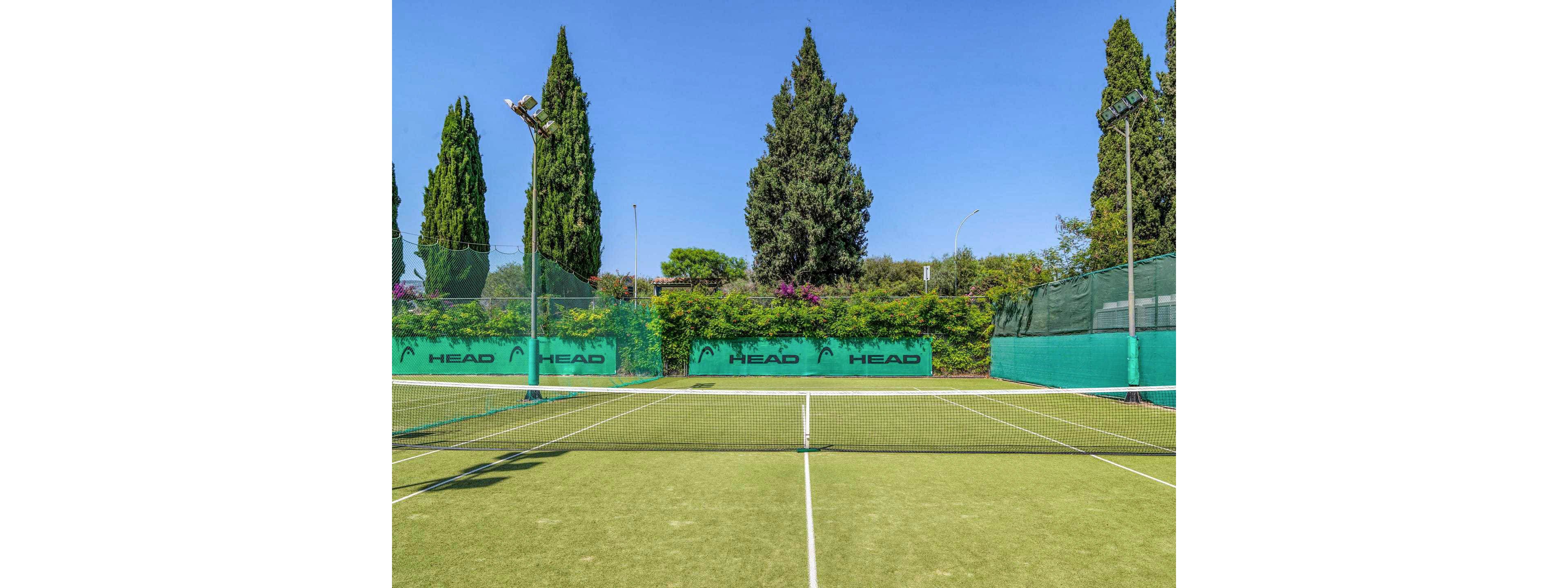 An empty outdoor tennis court is shown under a clear blue sky. The court surface is green with white boundary lines and a central net stretching across. Tall trees and dense green hedges surround the court, creating a secluded atmosphere. Green wind screens line the back fence, and tall floodlights stand at the corners, suggesting the court can be used at night.
