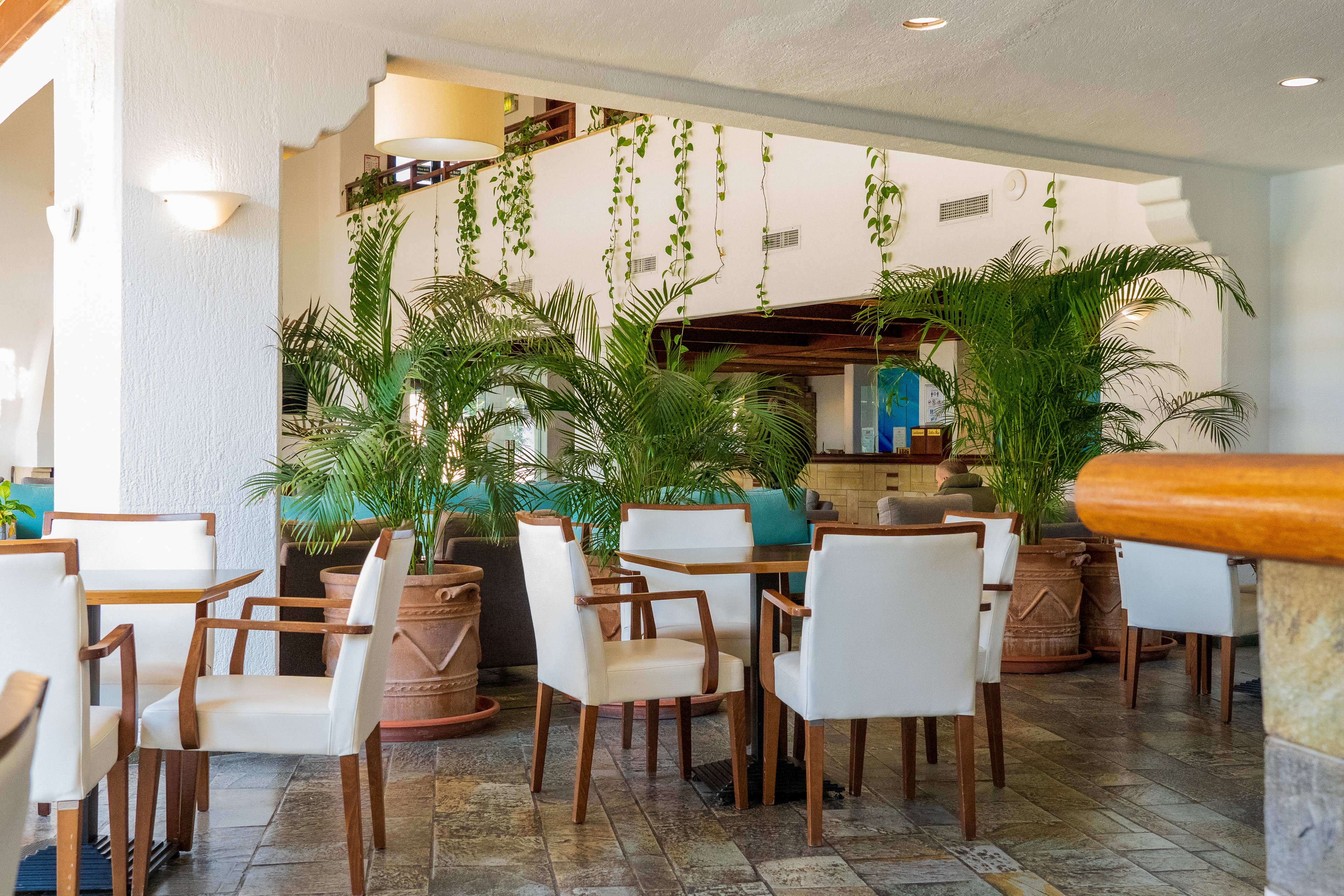 Paphos Gardens Hotel & Apartments