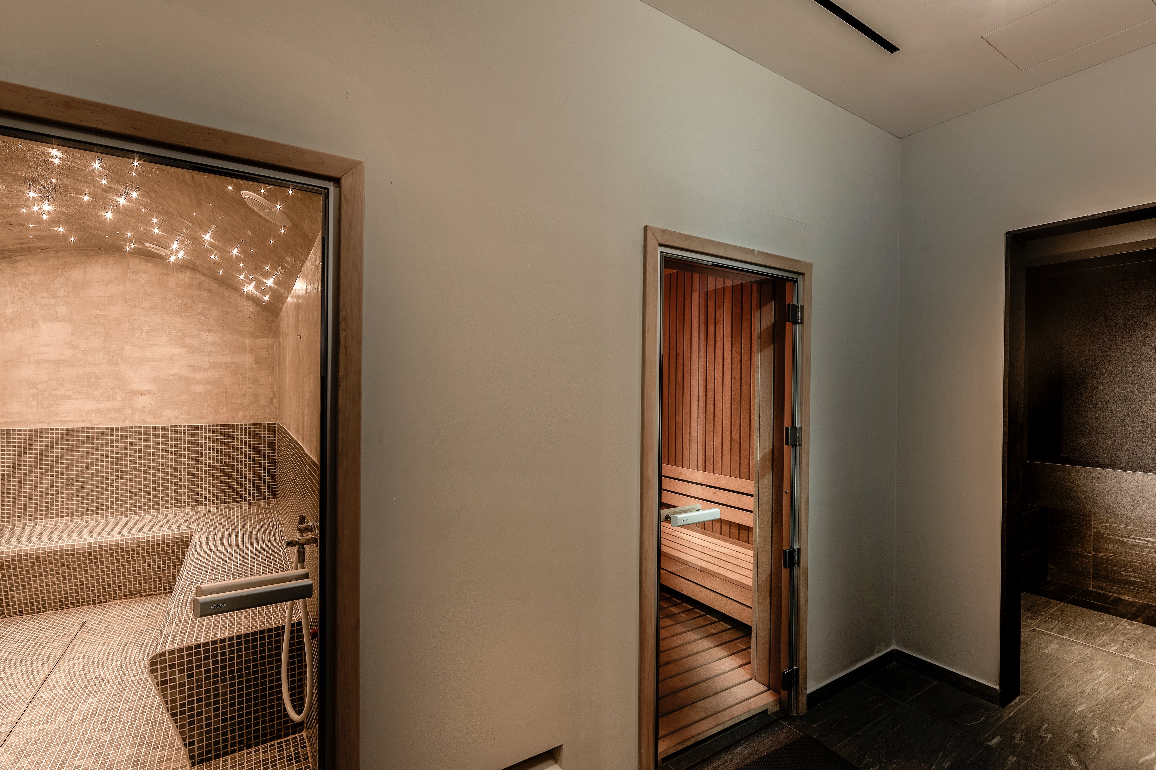 Anemi Hotel & Executive Suites