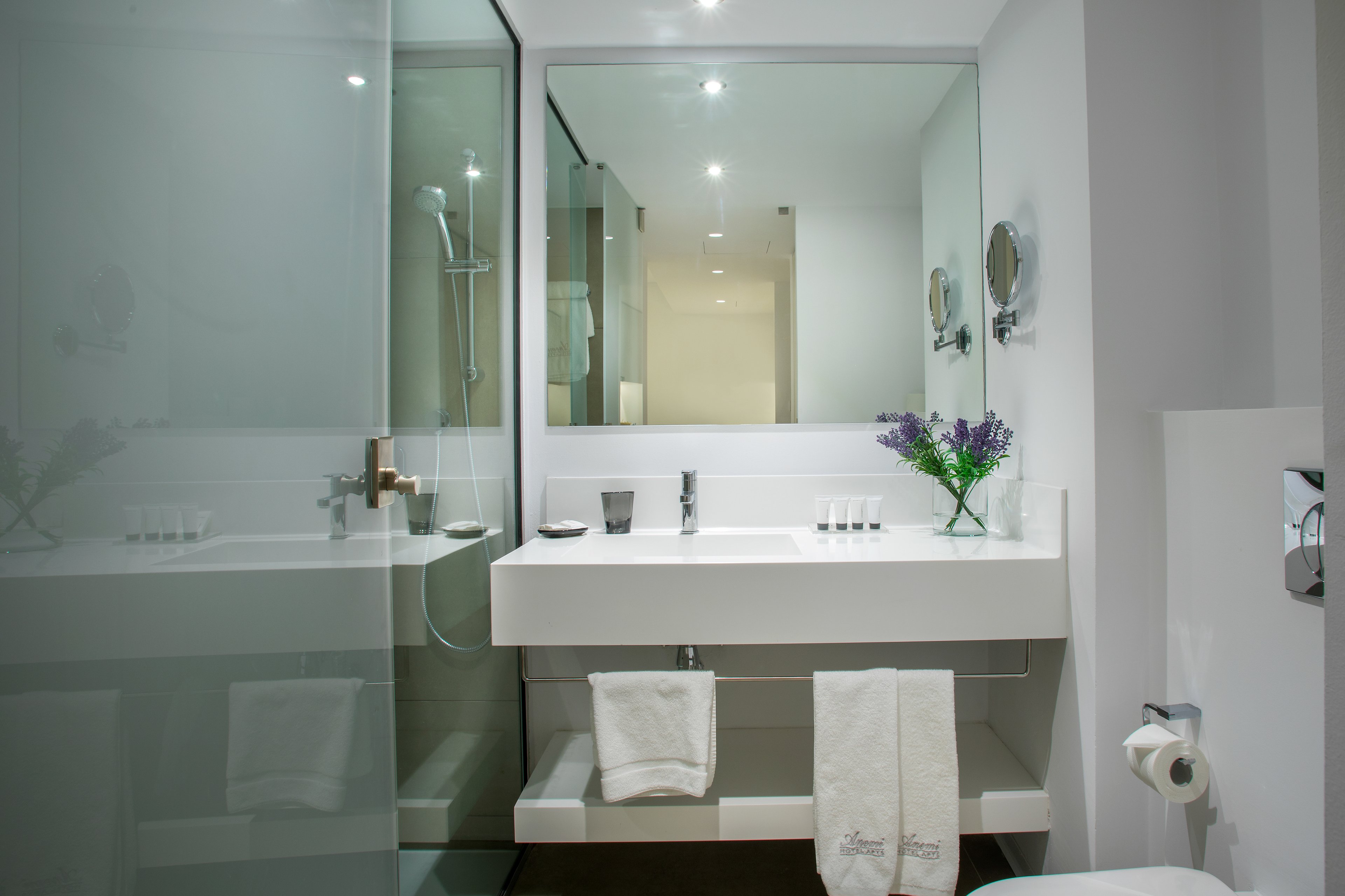 Anemi Hotel & Executive Suites