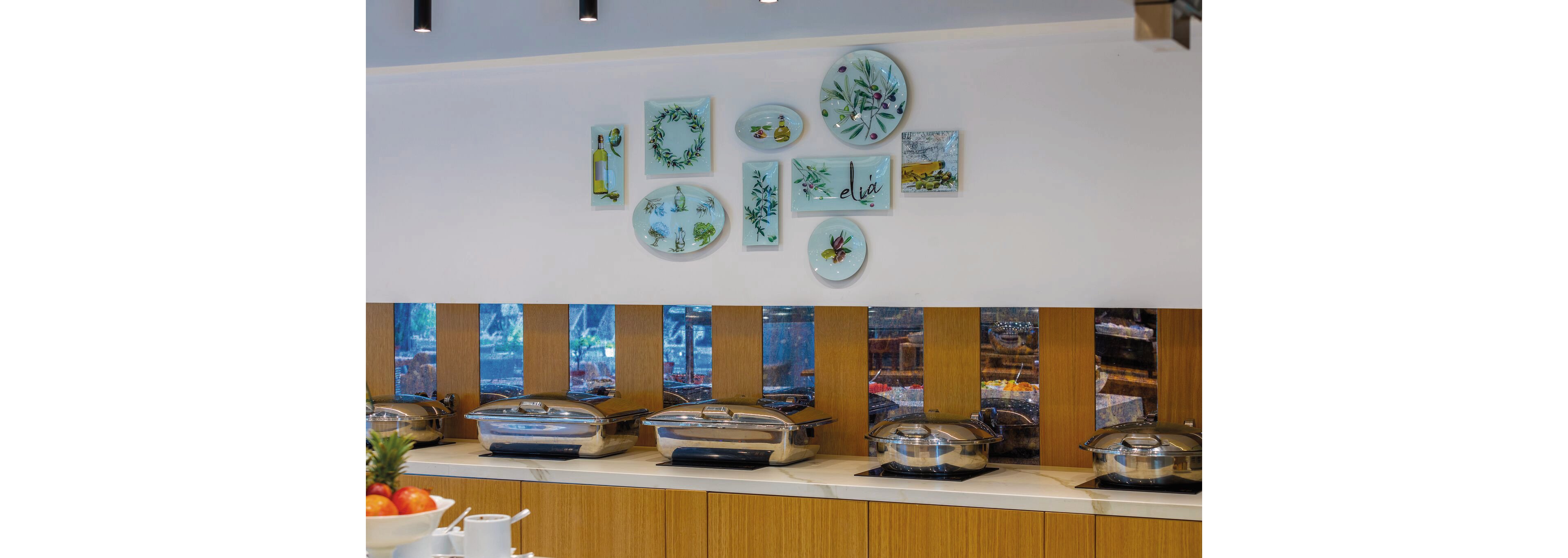 Anemi Hotel & Executive Suites