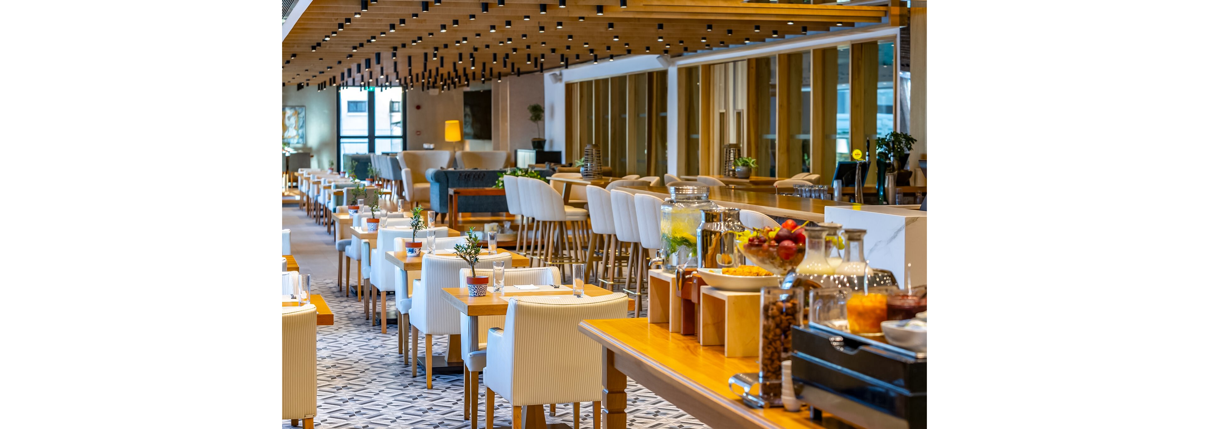 Anemi Hotel & Executive Suites