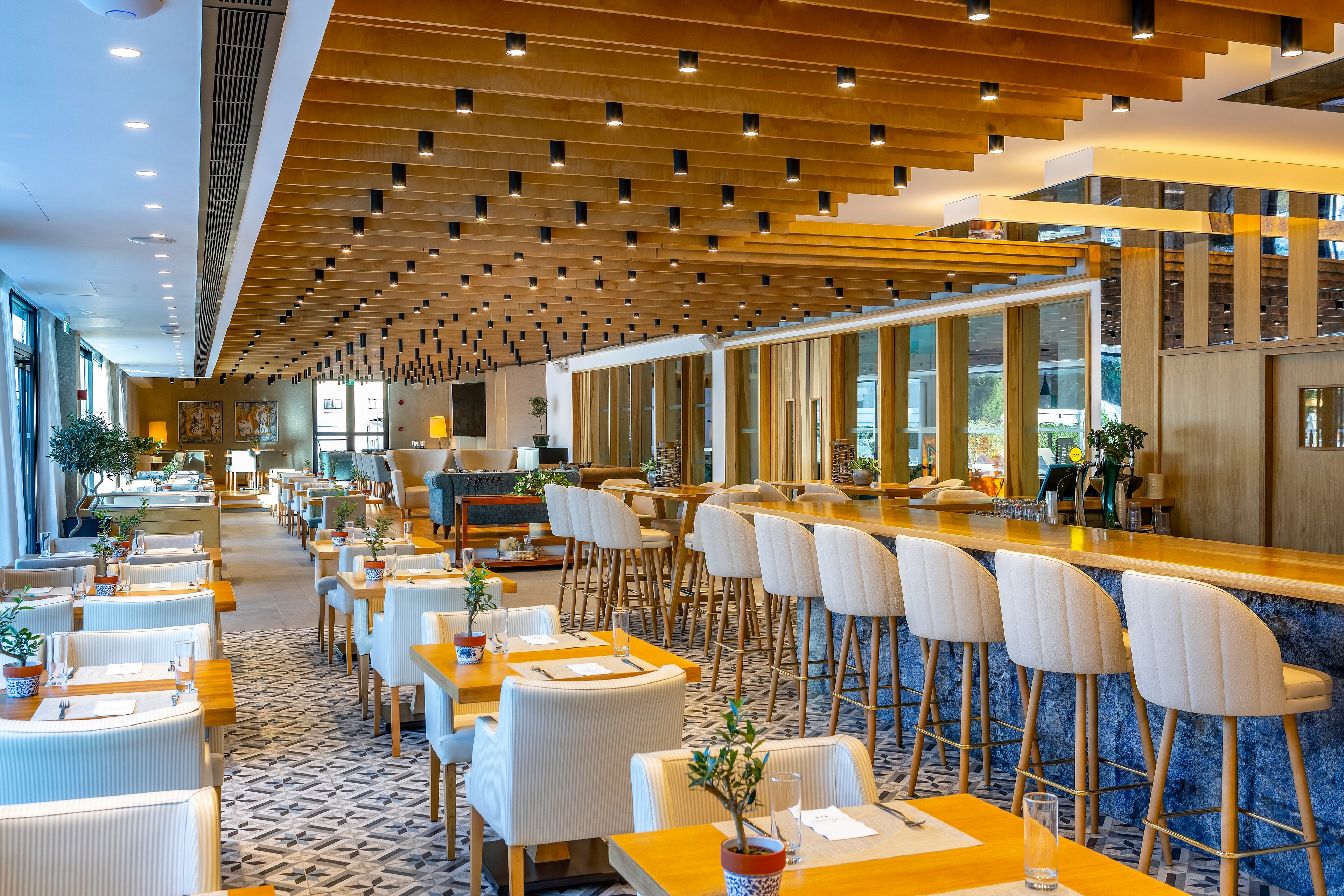 Anemi Hotel & Executive Suites