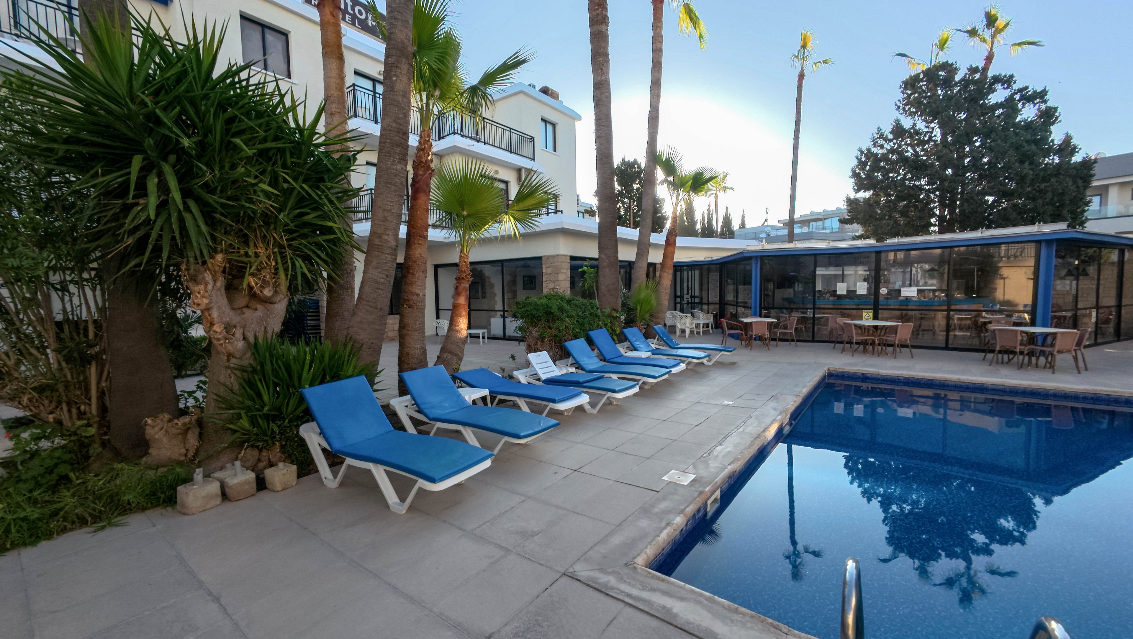 An outdoor swimming pool is surrounded by blue lounge chairs in the courtyard of a modern hotel. Tall palm trees and lush greenery line the poolside area, adding a tropical feel. The hotel building and a glass-walled lounge or dining area frame the scene. The calm water reflects the clear sky, creating a relaxed vacation atmosphere.