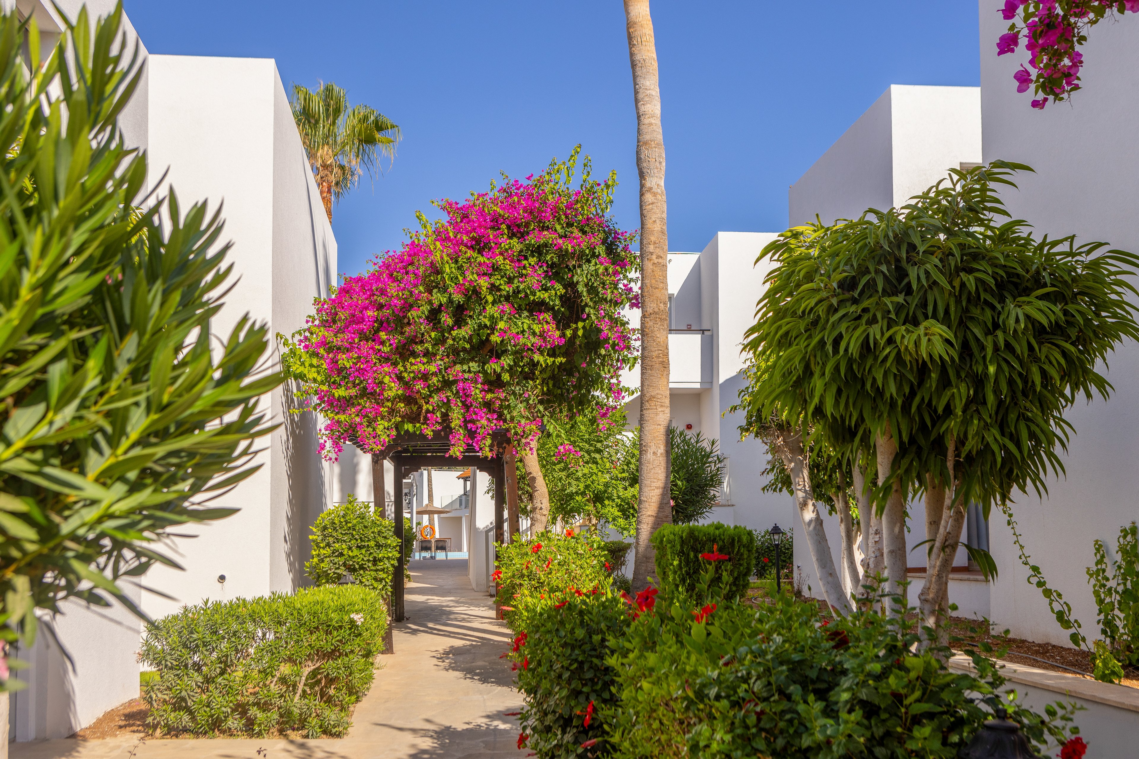 Kapetanios Aqua Resort