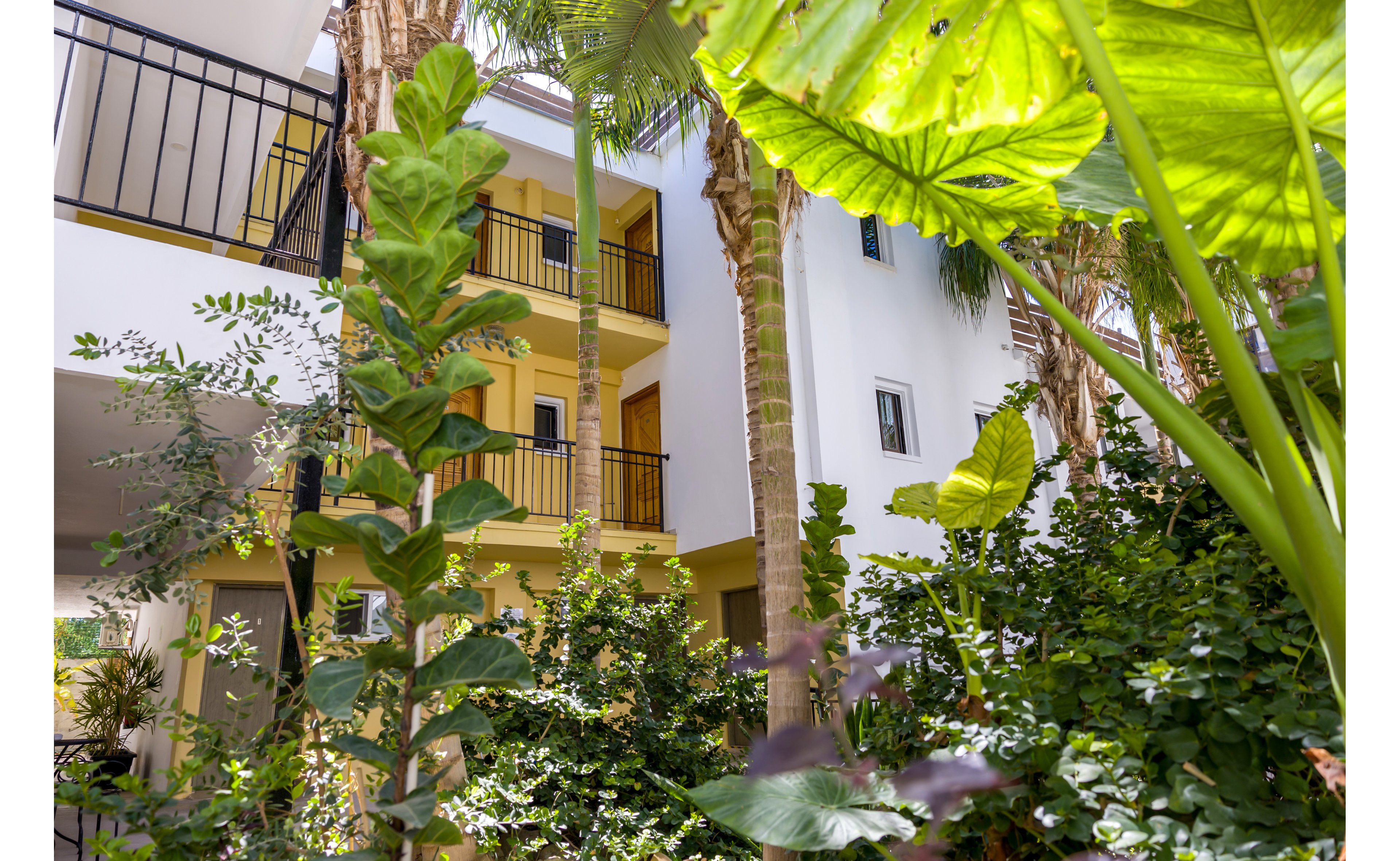 Alecos Hotel Apartments