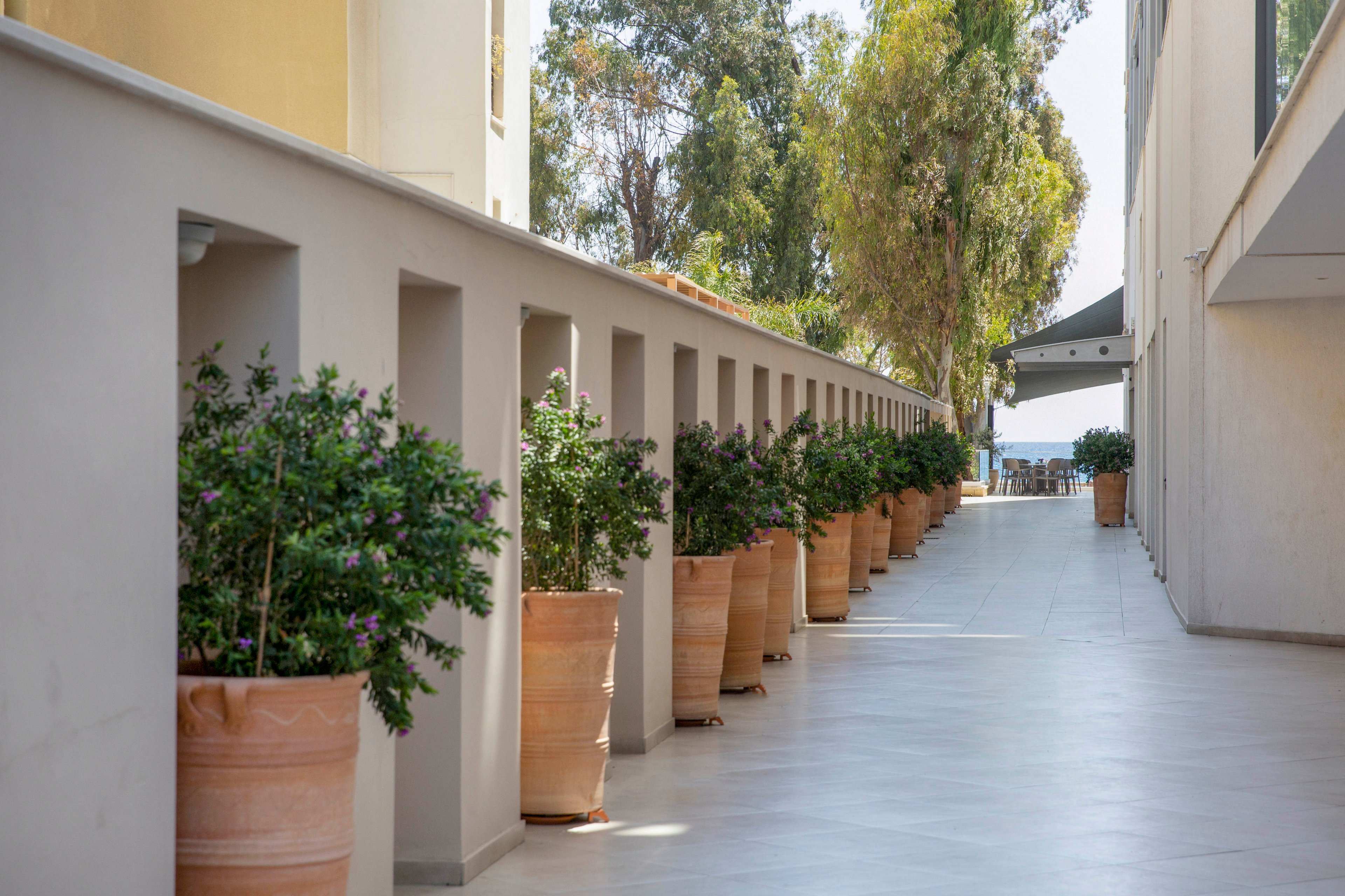 A long, modern corridor is lined with large terracotta pots filled with green shrubs. The walkway runs between two light-colored buildings, featuring a low wall with rectangular cutouts on one side. Sunlight brightens the tiled floor, leading the eye toward trees and a glimpse of the sea in the distance. The scene feels calm and orderly, emphasizing clean architectural lines and natural greenery.