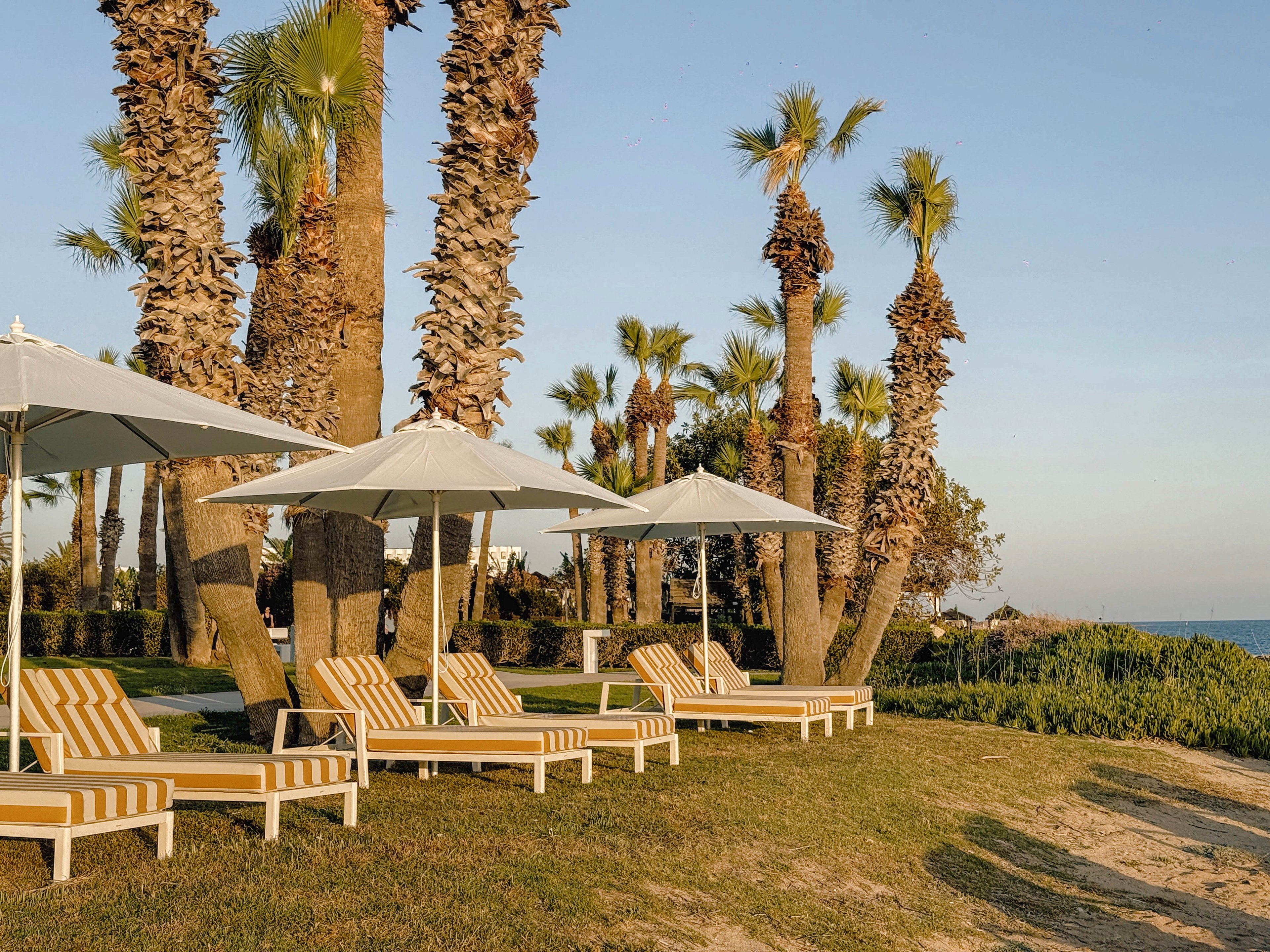 A row of cushioned sun loungers with yellow and white stripes sits beneath white umbrellas on a grassy area near the beach. Tall palm trees rise behind the loungers, creating a tropical resort atmosphere. The scene is lit by warm, late-afternoon sunlight, casting long shadows across the grass. In the background, sand, greenery, and the calm sea complete the tranquil coastal setting.