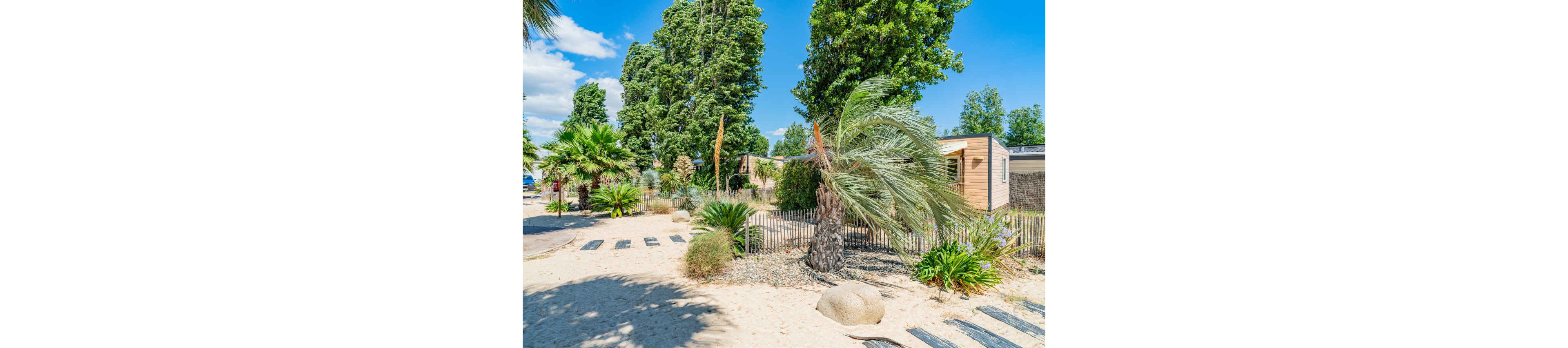 A bright holiday park features sandy paths lined with palm trees and other lush greenery. Modern mobile cabins or bungalows sit behind a low wooden fence, blending into the relaxed outdoor setting. Large rocks and stepping stones accent the sandy ground, evoking a beach-like atmosphere. The clear blue sky and vibrant sunlight create a warm, summery mood.