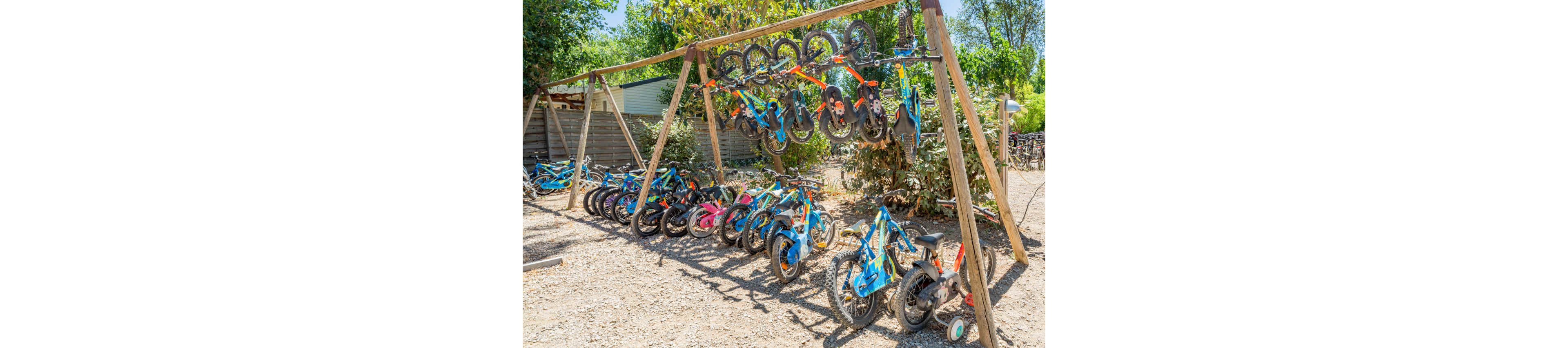 A large collection of small children's bicycles is arranged on wooden racks in an outdoor area. Some bikes hang upside down from the top beam while others stand in a row on the gravel ground. The bicycles are brightly colored in blue, red, pink, orange, and other hues, with several featuring training wheels. Trees, shrubs, and a wooden fence surround the storage area, suggesting a park, school, or rental facility. The scene is lit by bright daylight under a clear sky.