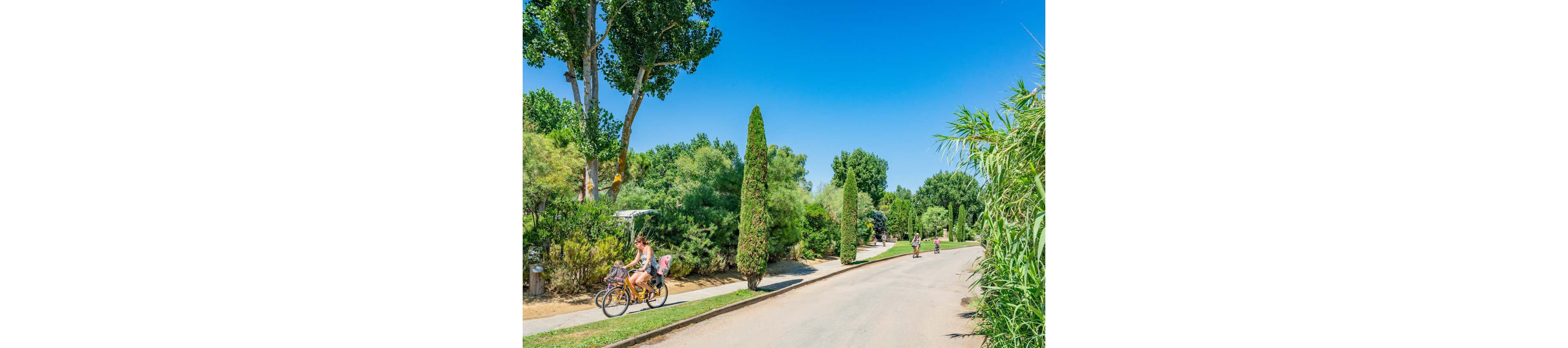 A woman rides a bicycle with a child seat along a paved path in a lush green park. Another person walks or cycles further down the road under a clear blue sky. Tall trees, shrubs, and manicured hedges line both sides of the pathway, creating a serene natural setting. The bright daylight and vivid colors suggest a warm, pleasant summer day ideal for outdoor recreation.
