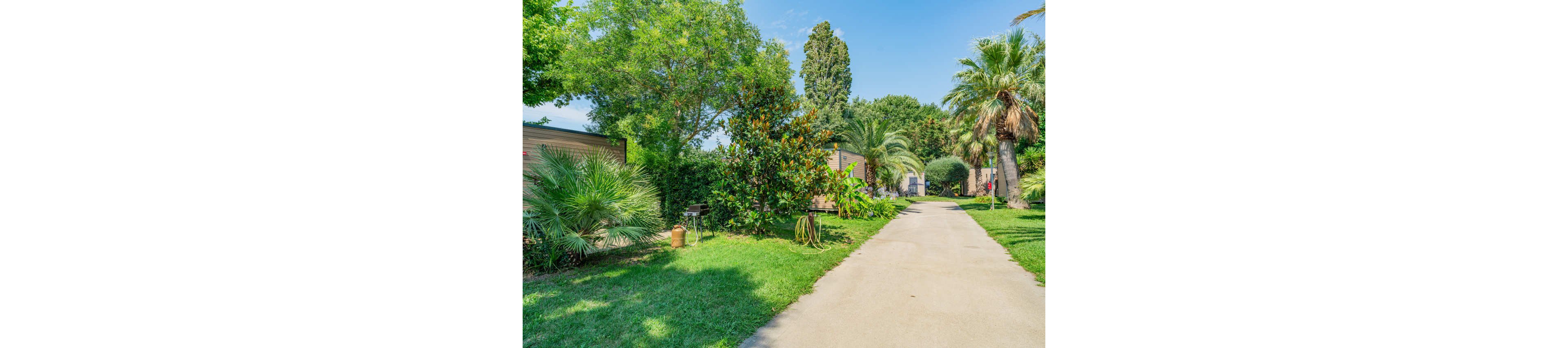 A bright, sunlit pathway runs through a campsite bordered by lush green trees and shrubs. Mobile homes or cabins are partially visible on either side, nestled among palm trees and other vegetation. A garden hose, outdoor grill, and small decorative items suggest a relaxed vacation setting. The clear blue sky and vibrant foliage create a warm, inviting atmosphere ideal for outdoor leisure.