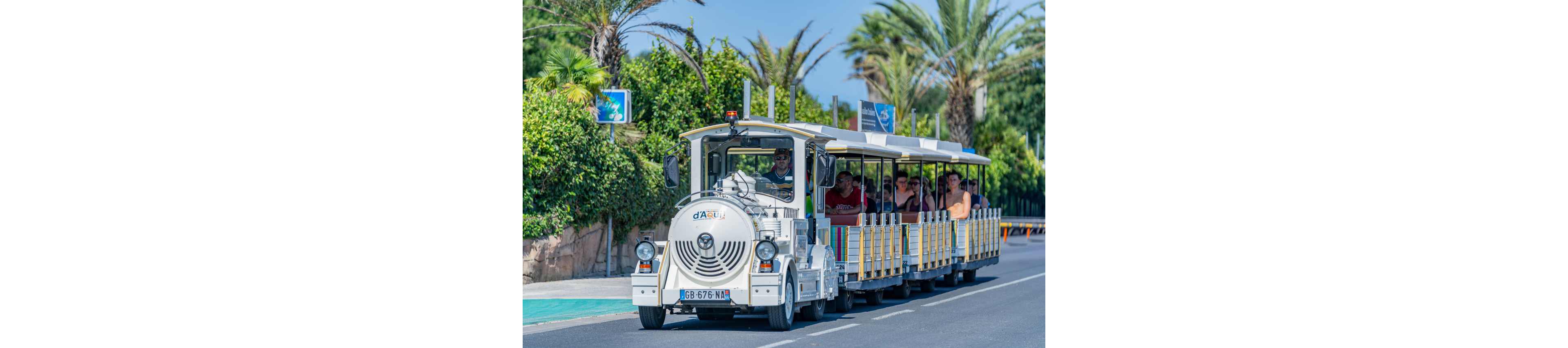 A white tourist road train pulls several open carriages filled with passengers along a sunny coastal road. The small train travels beside lush green hedges and tall palm trees, suggesting a warm holiday destination. People sit in the shaded carriages, enjoying the ride and the bright weather. The scene conveys relaxed vacation transport and leisurely sightseeing.
