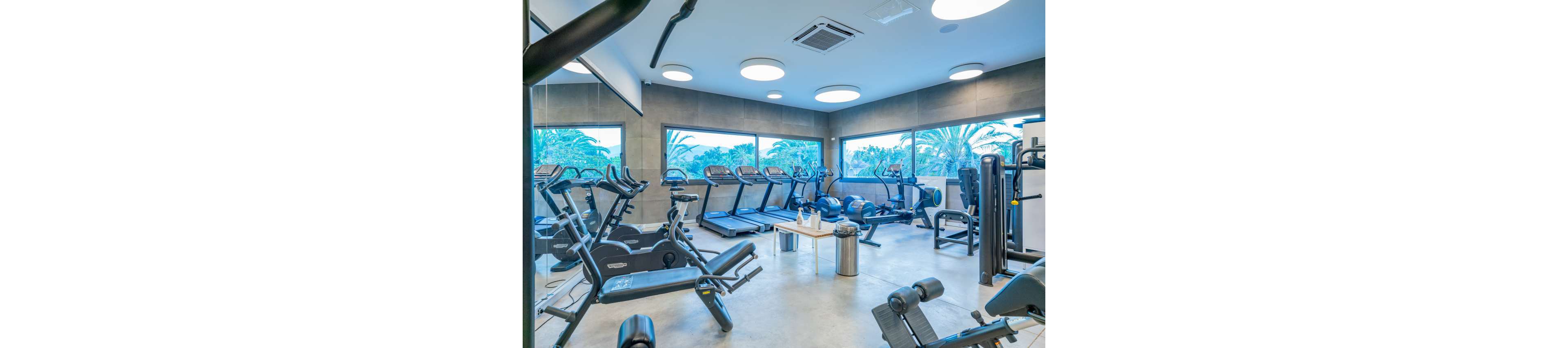 Bright, contemporary gym interior featuring multiple treadmills, ellipticals, and stationary bikes. Large windows reveal lush palm trees and an outdoor landscape, bringing natural light into the space. A central table holds towels and water bottles, with a trash can nearby for convenience. The clean, organized layout and cool color palette create a fresh, motivating workout environment.