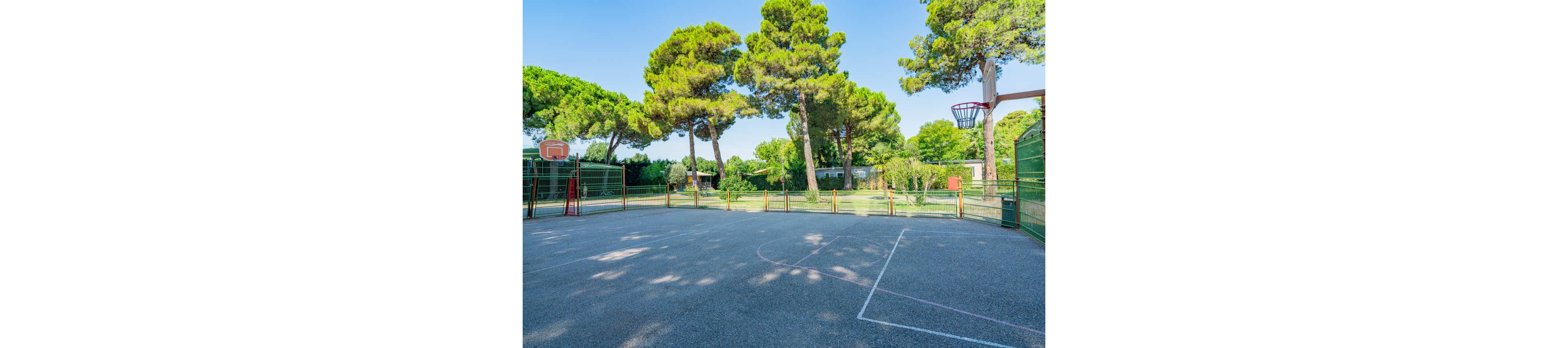 An empty outdoor basketball court is shown under a clear blue sky. The court surface is smooth with faint white and pink lines marking the playing area. Two basketball hoops stand at opposite ends, enclosed by green metal fencing. Tall leafy trees and a few small buildings are visible in the background, creating a peaceful park-like setting.