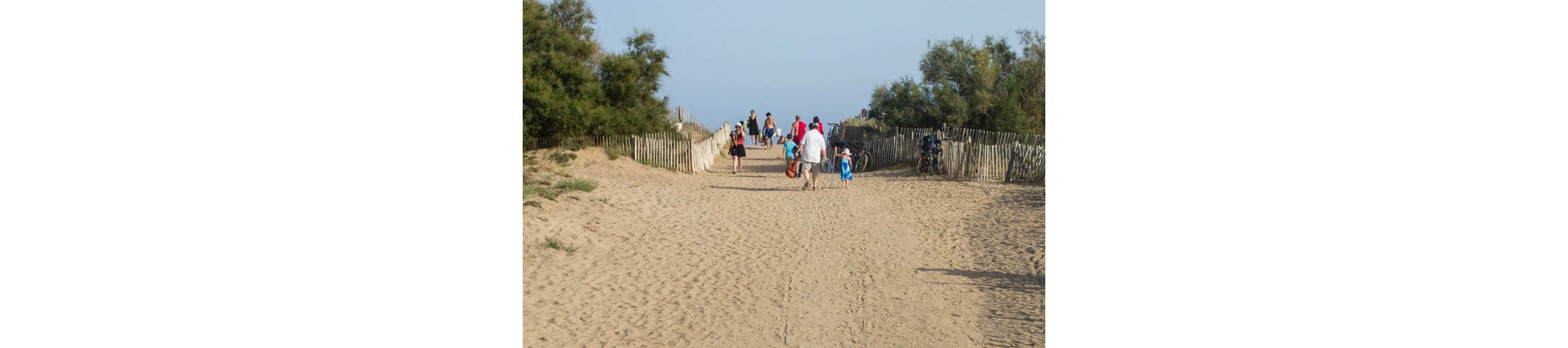A group of people walk along a wide sandy path leading toward the beach. Adults and children are dressed in casual summer clothing, some carrying bags and beach gear. Wooden fences line both sides of the path, with green shrubs and trees providing a natural border. Bicycles are parked near the fence, suggesting a relaxed seaside outing on a clear day.