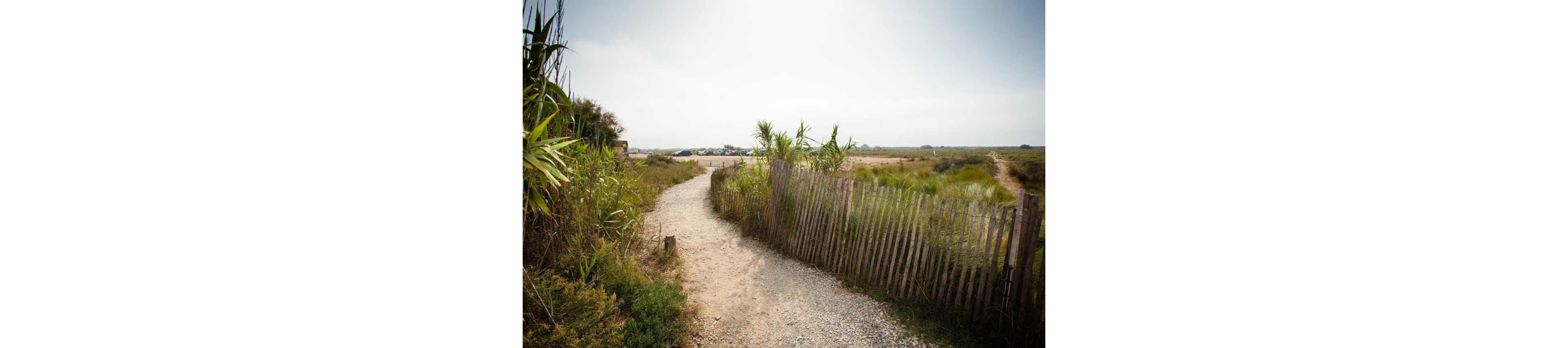 A narrow sandy path winds through a coastal landscape bordered by tall grasses and a rustic wooden fence. The trail leads toward an open, hazy horizon under a bright, slightly overcast sky. Low vegetation and reeds frame the walkway, suggesting a natural reserve or beach access. The overall scene feels quiet and inviting, emphasizing solitude and nature.