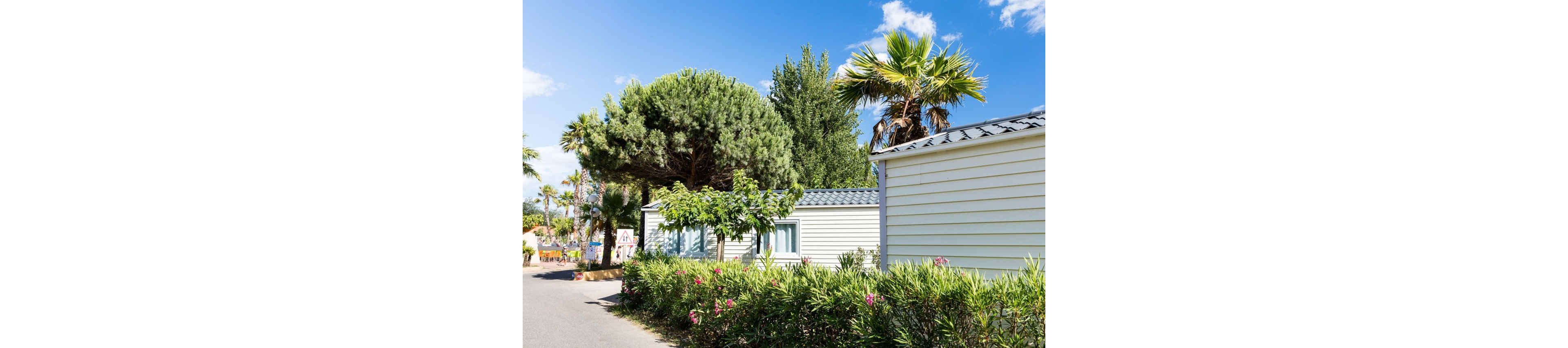 A row of white mobile homes is set along a paved path in a sunny campsite. Tall palm trees and a large pine tree rise above the cabins, creating a lush, green canopy. Flowering shrubs line the foreground, adding pink blossoms and dense foliage. The bright blue sky with scattered clouds enhances the warm, relaxed holiday atmosphere.
