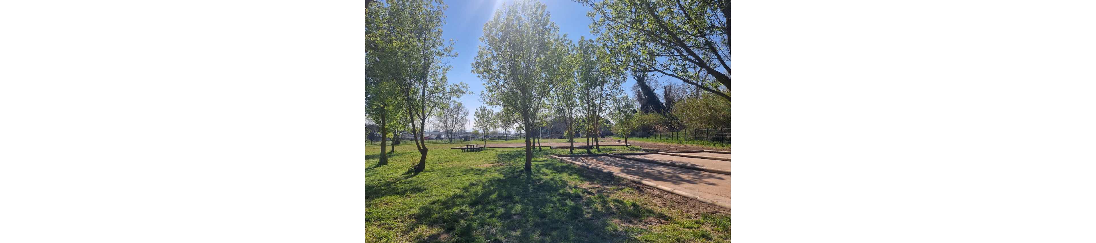 A bright, sunny day illuminates a green park filled with young trees casting long shadows on the grass. A paved path runs along the right side, inviting walkers or cyclists through the open space. In the distance, a picnic table sits under the trees, suggesting a quiet area for rest or gatherings. The clear blue sky and soft light create a calm, peaceful outdoor atmosphere.
