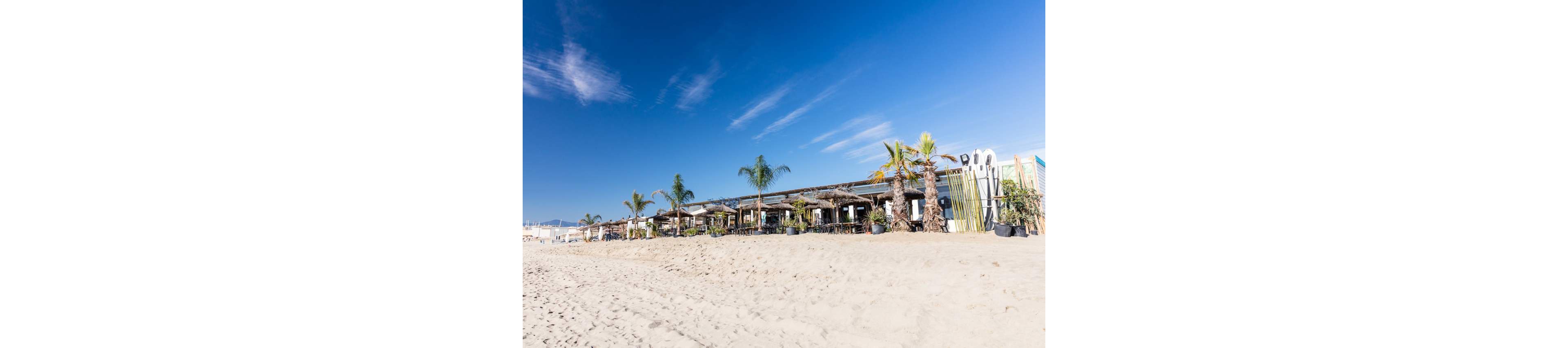 A beachfront bar or restaurant sits directly on a wide sandy beach. Palm trees and rustic wooden structures line the front of the building, creating a relaxed coastal atmosphere. The sky is clear and bright blue with a few wispy clouds stretching overhead. Outdoor seating and greenery suggest a casual seaside hangout for visitors.