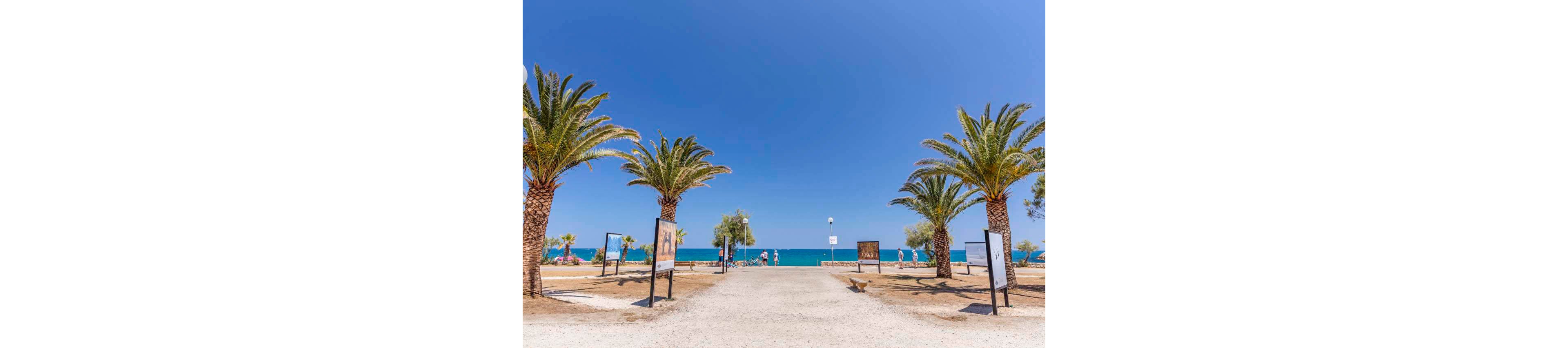 A sunny coastal promenade lined with tall palm trees leads directly toward a bright blue sea. Informational display boards stand on both sides of the path, creating a framed view of the shoreline. A few people are visible in the distance near the water under the clear sky. The scene conveys a relaxed, summery beach atmosphere with vivid blue and sandy tones.