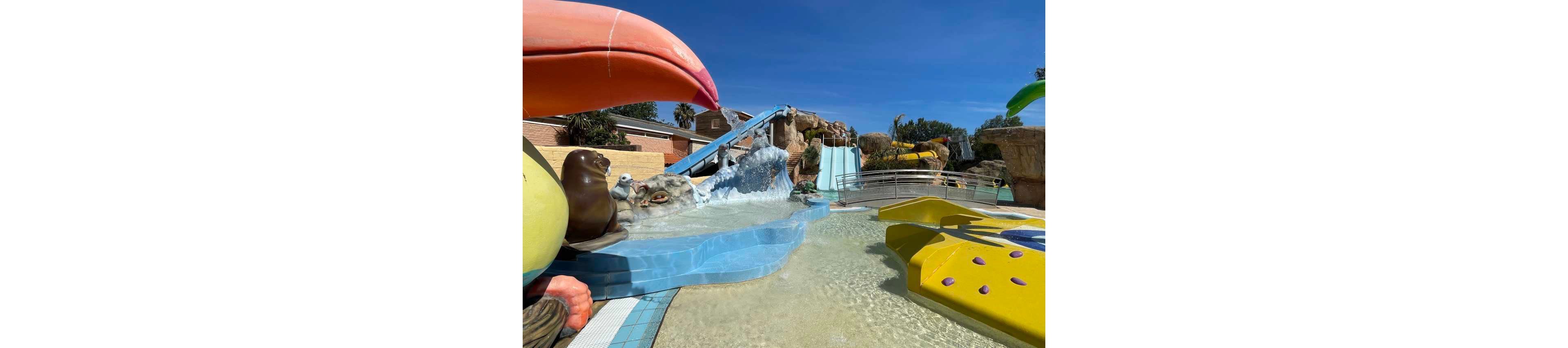 An outdoor water park features shallow pools and playful animal sculptures, including a large bird and a seal. Multiple water slides curve down from rocky structures into the splash area. Bright yellow floating elements and blue tiled edges add vibrant color to the scene. The sky is clear and blue, suggesting a sunny, warm day ideal for family fun.