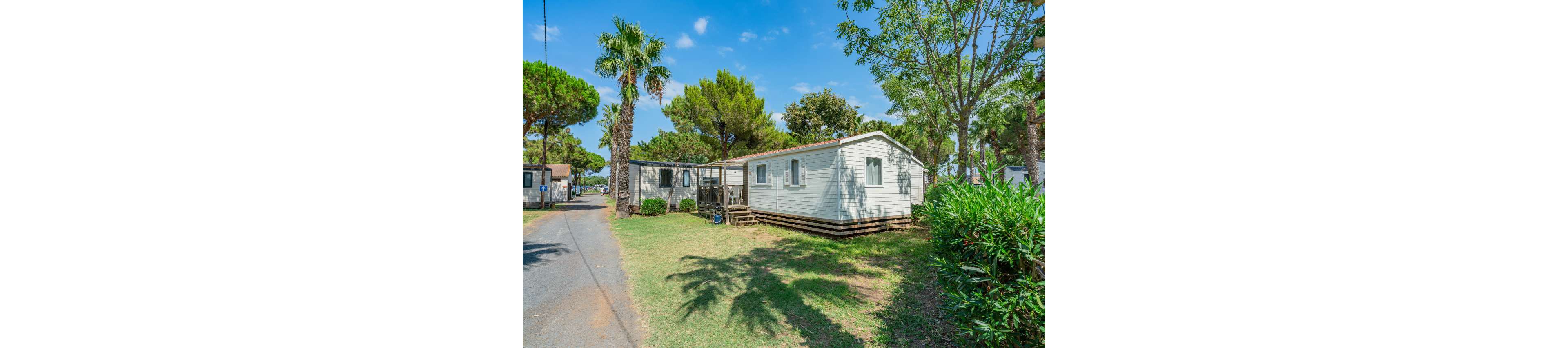 A white mobile home sits in a sunny campground surrounded by green trees and shrubs. The unit is raised slightly on blocks with a small wooden staircase leading to the entrance. A paved lane runs alongside the mobile homes, casting long shadows on the grass. Tall palm trees and pines create a relaxed vacation atmosphere under a bright blue sky with scattered clouds.