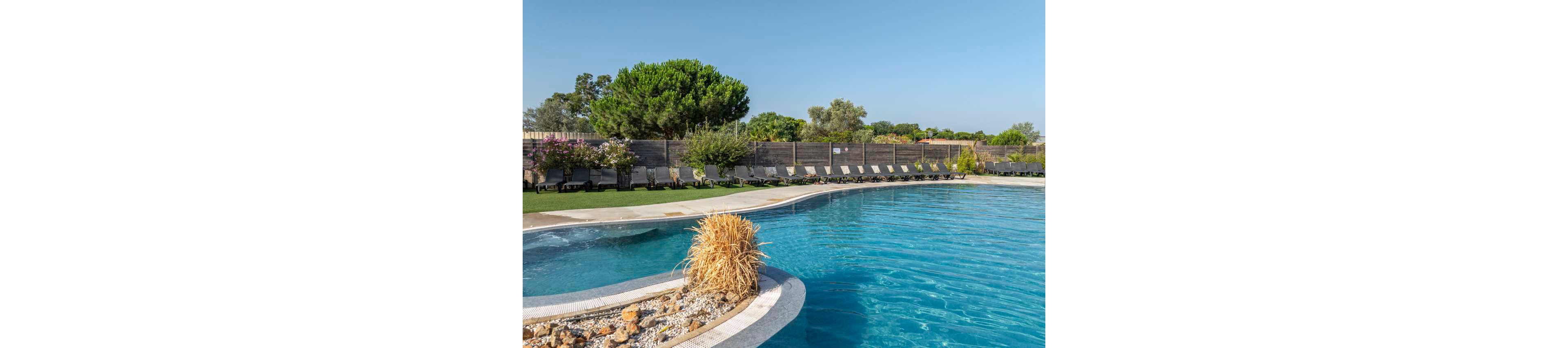 A large outdoor swimming pool curves through a landscaped resort area under a clear blue sky. Numerous empty sun loungers line the far side of the pool beside a low fence and green lawn. Trees, shrubs, and flowering plants add natural color and texture around the water. The calm scene suggests a quiet, relaxing vacation setting with no people present.