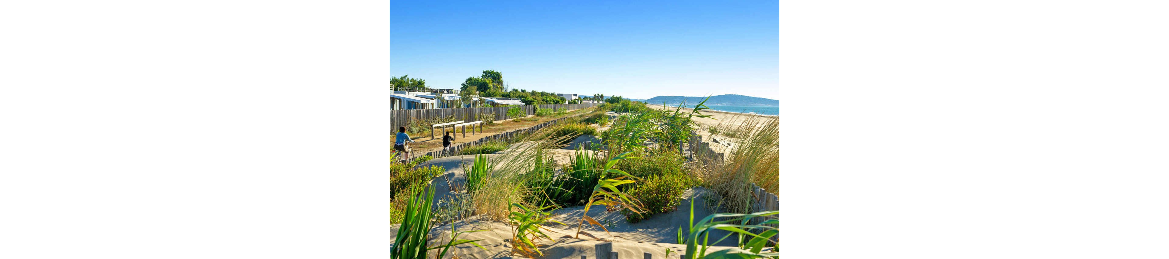 Two people ride bicycles along a paved path next to a sandy beach. Wooden fences and tall grasses line the dunes, separating the path from the shoreline. Small buildings or cabins sit behind the fences, suggesting a seaside resort or campground. The scene is bright and sunny with clear blue skies and distant hills across the water.