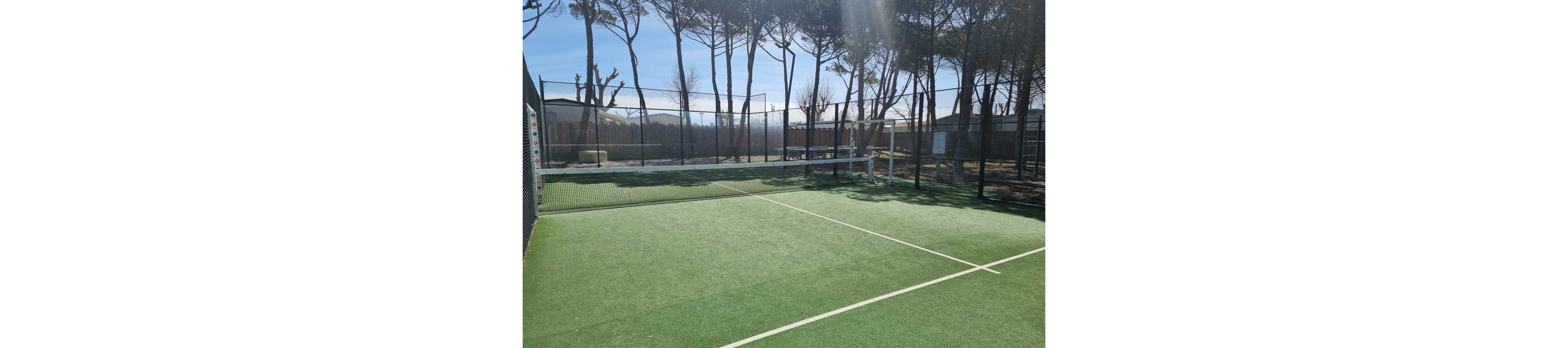 An empty padel court with green artificial turf is shown on a sunny day. The court is enclosed by high metal fencing and glass walls, with a white net stretched across the center. Tall pine trees surround the sports area, casting light shadows on the ground. In the background, additional courts and recreational facilities are faintly visible beyond the fence.