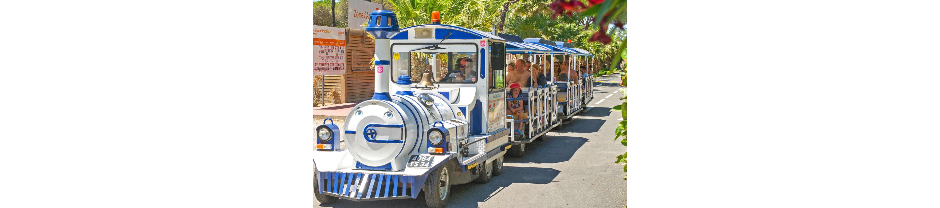 A blue and white road train carries tourists along a sunny street. The open carriages are filled with adults and children enjoying the ride. Palm trees and lush greenery line the road, suggesting a warm vacation destination. Bright daylight and vivid colors create a cheerful, relaxed holiday atmosphere.