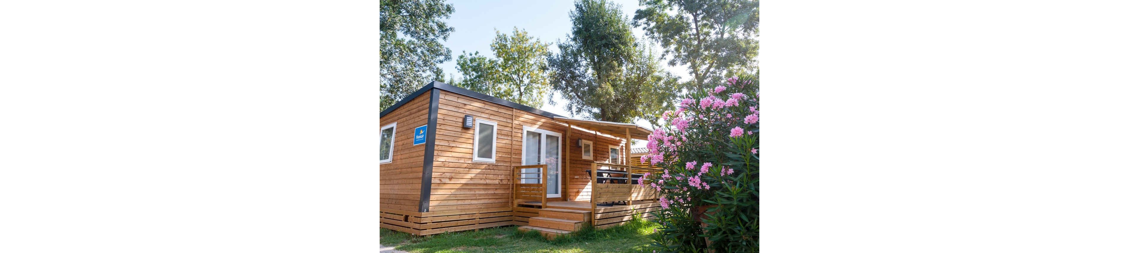 A modern wooden cabin stands in a sunny outdoor setting surrounded by greenery. The structure features large windows, a small front porch with railing, and steps leading to the entrance. Tall trees provide shade in the background, while vibrant pink flowering bushes add color in the foreground. The scene suggests a peaceful vacation rental or campsite accommodation in a natural environment.