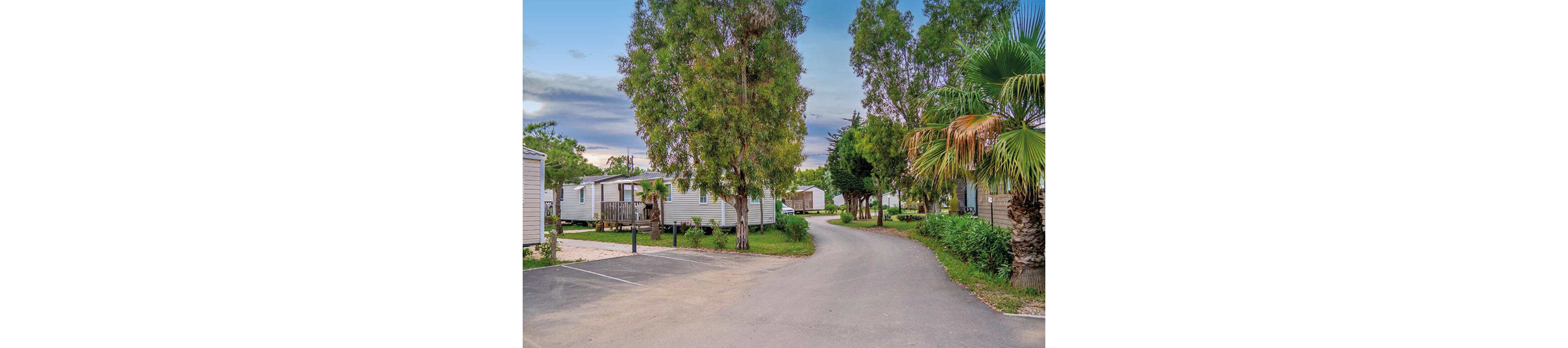 A quiet mobile home park features several light-colored trailers nestled among tall trees and palm plants. A paved road curves through the scene, bordered by small parking spaces and green lawns. The sky shows soft evening light with scattered clouds, adding a calm atmosphere. The overall setting suggests a peaceful vacation or residential campground in a natural environment.
