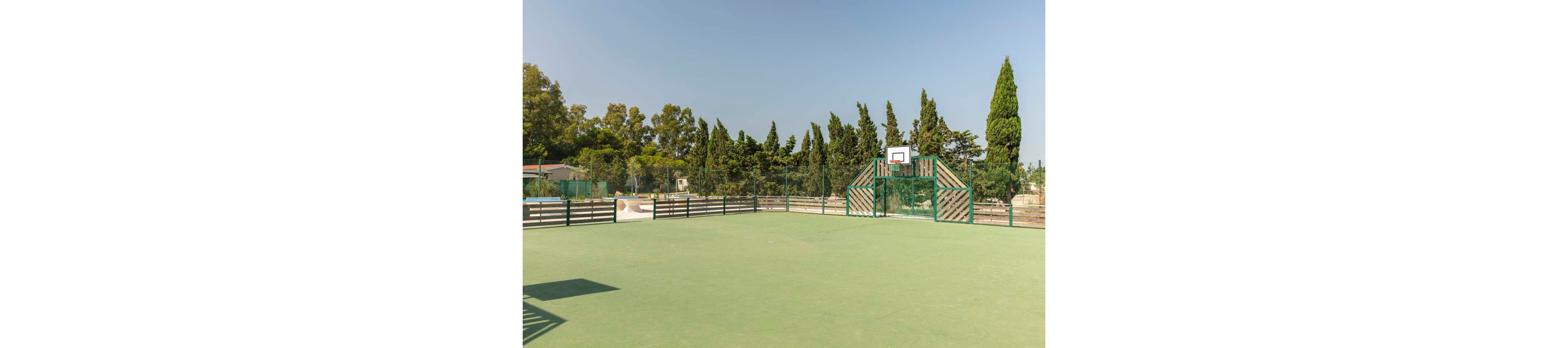 An empty outdoor sports court features a single basketball hoop at one end. The green playing surface is enclosed by a low fence and netting. Tall evergreen trees and other greenery form a natural backdrop under a clear blue sky. The scene appears calm and sunny, suggesting a warm day at a recreational facility.