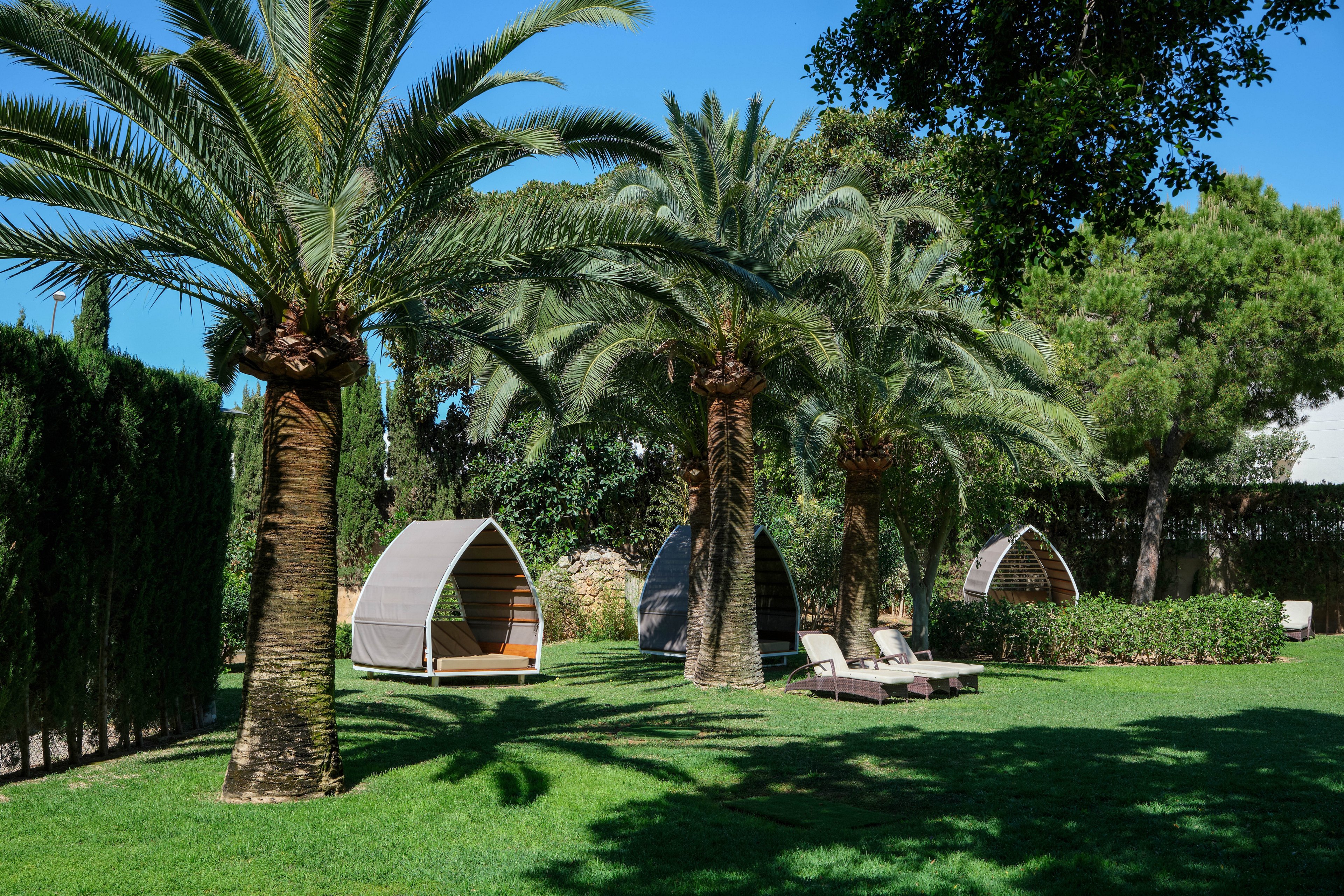 A lush garden features tall palm trees casting shade over the manicured green lawn. Modern canopy daybeds and sun loungers are arranged beneath the trees, creating a relaxing outdoor retreat. Dense hedges and other trees frame the space, giving a sense of privacy and seclusion. Bright daylight and clear shadows suggest a warm, sunny climate ideal for leisure and rest.