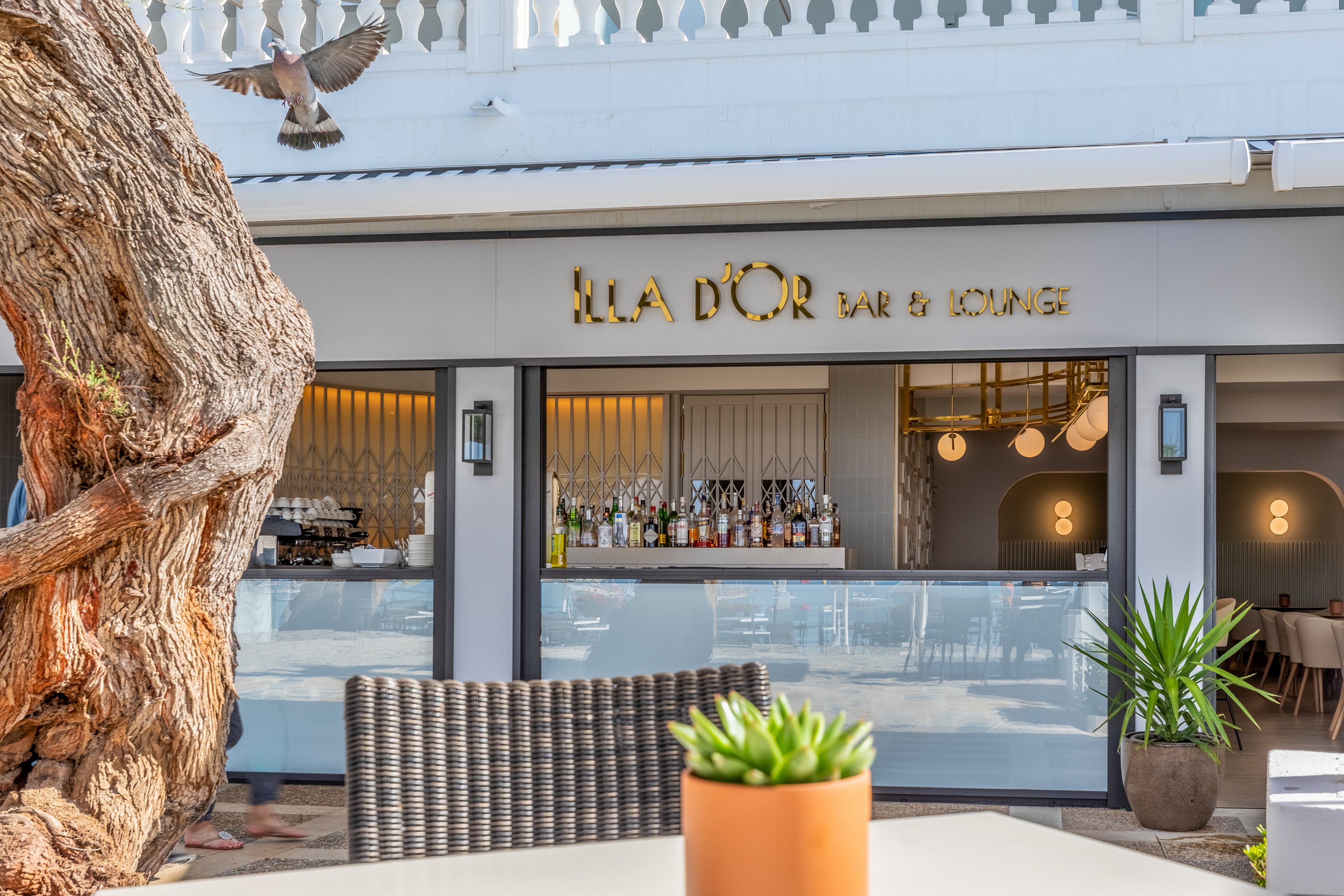 Hotel Illa d'Or & Illa d'Or Club Apartments