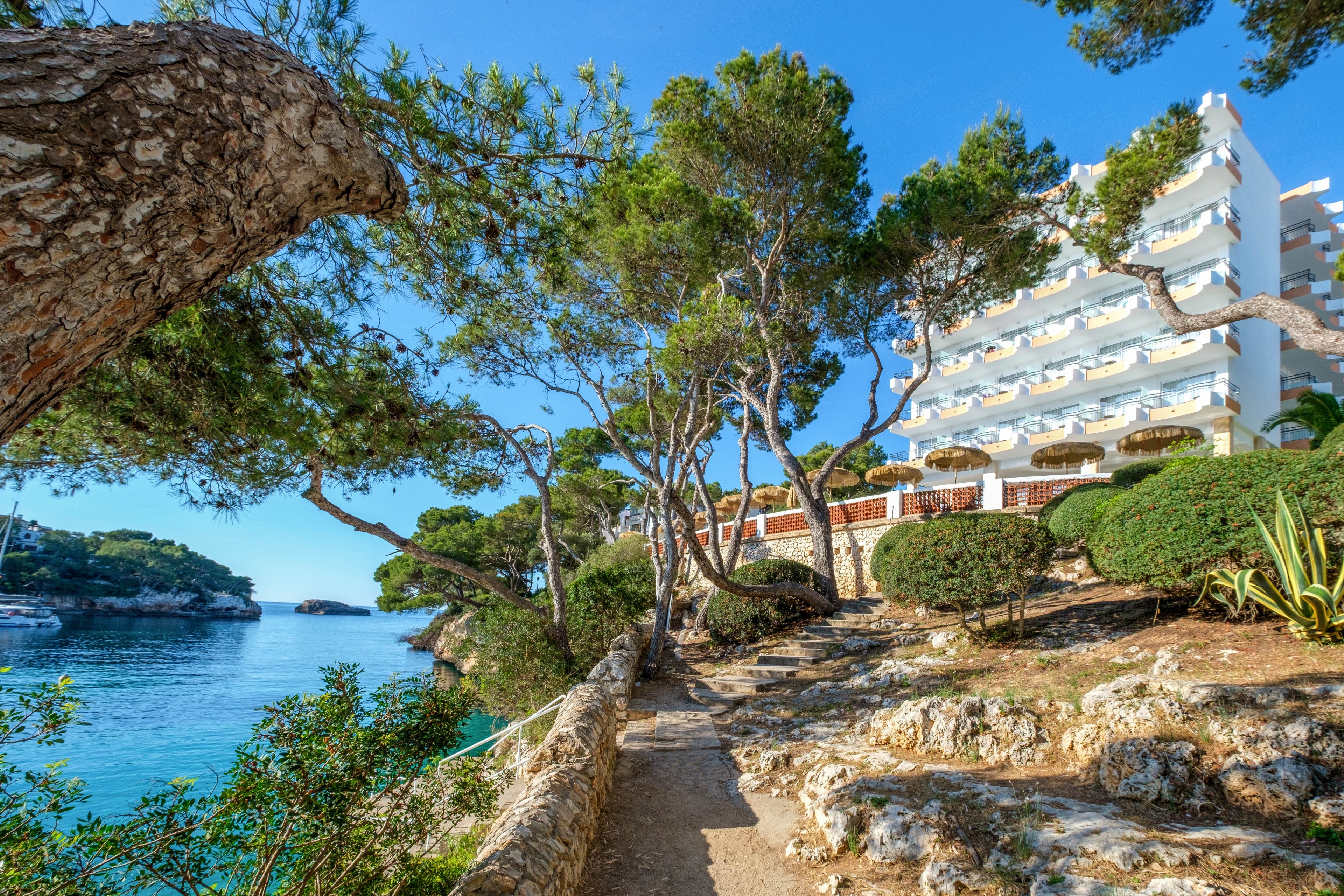 A scenic coastal resort overlooks a clear turquoise sea, with a stone path winding along the rocky shoreline. Tall pine trees arch over the walkway, casting dappled shade on the path and surrounding shrubs. A white multi-story hotel with balconies rises beside the water, framed by lush greenery and bright blue sky. The tranquil setting suggests a relaxing holiday destination by the ocean.