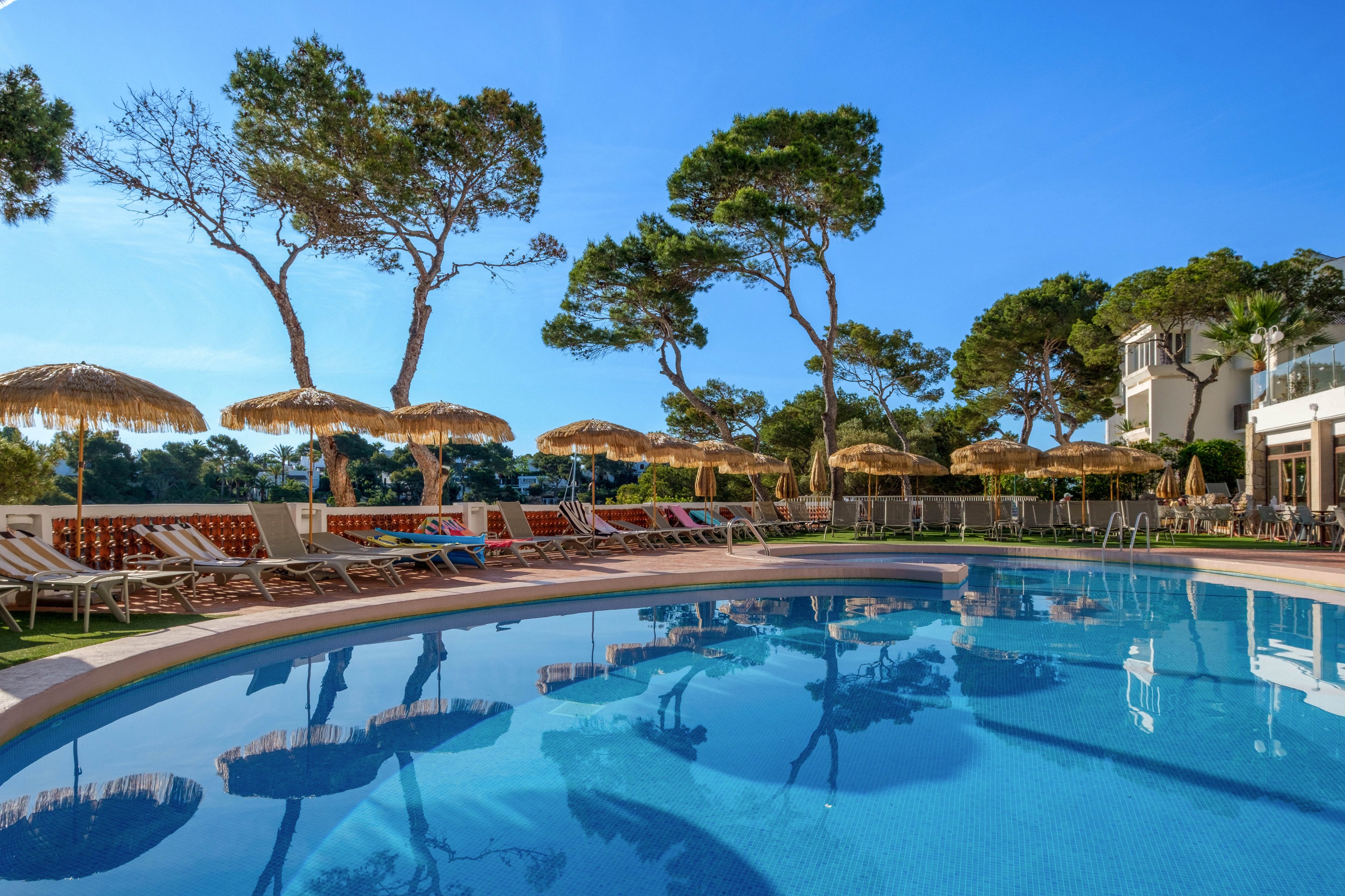 An inviting outdoor swimming pool sits in the foreground of a sunny resort scene. Numerous sun loungers and straw parasols line the poolside terrace, suggesting a relaxing vacation setting. Tall pine trees rise behind the pool, framing the clear blue sky and adding a natural backdrop. A multi-story hotel building is visible to the right, completing the tranquil holiday atmosphere.