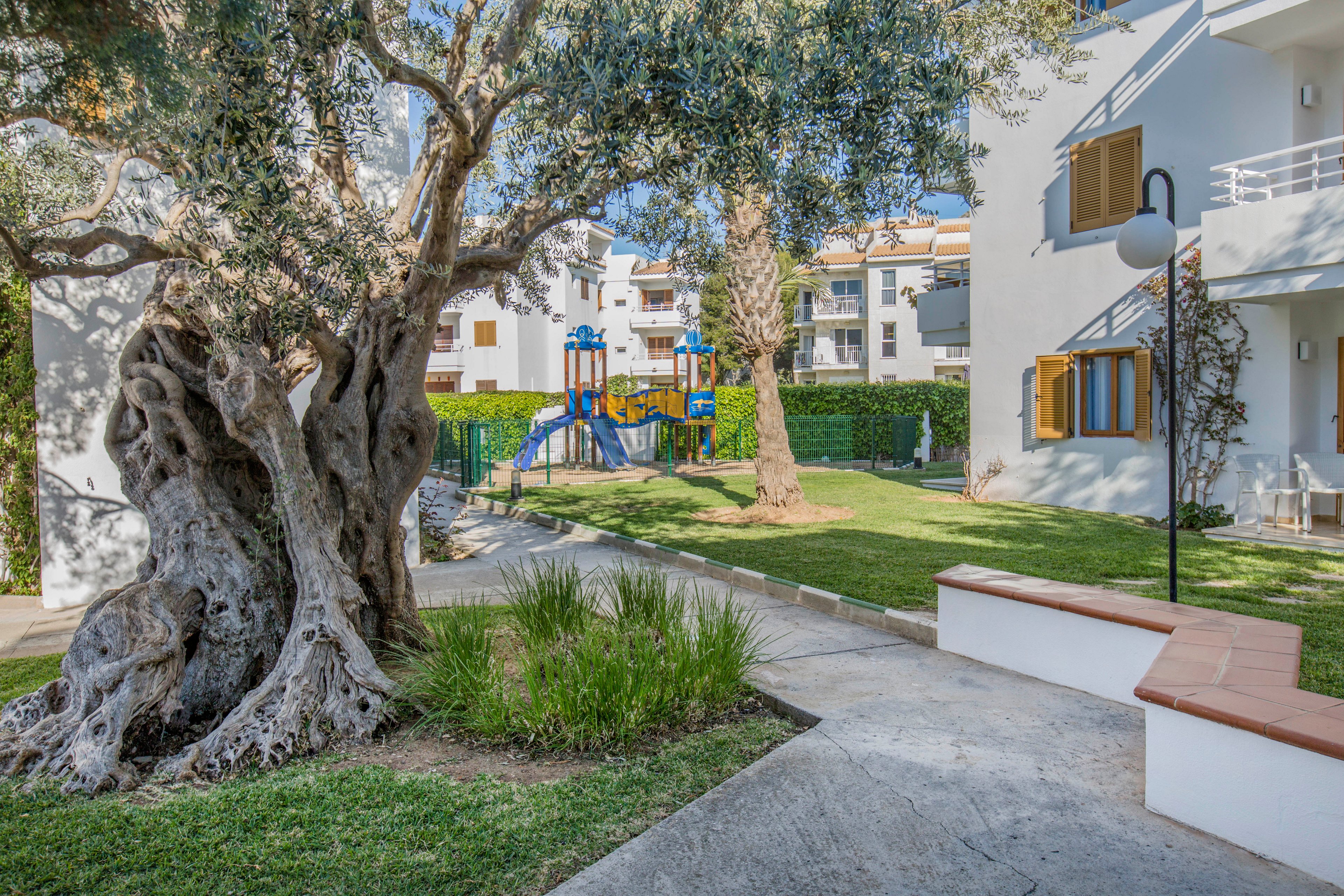 A residential courtyard features a large, gnarled tree in the foreground beside a paved walkway. In the background, a small playground with colorful equipment stands on a grassy lawn. White apartment buildings with balconies and wooden shutters surround the green space, creating a calm neighborhood atmosphere. A lamppost and neatly trimmed hedges add to the orderly, well-maintained setting.
