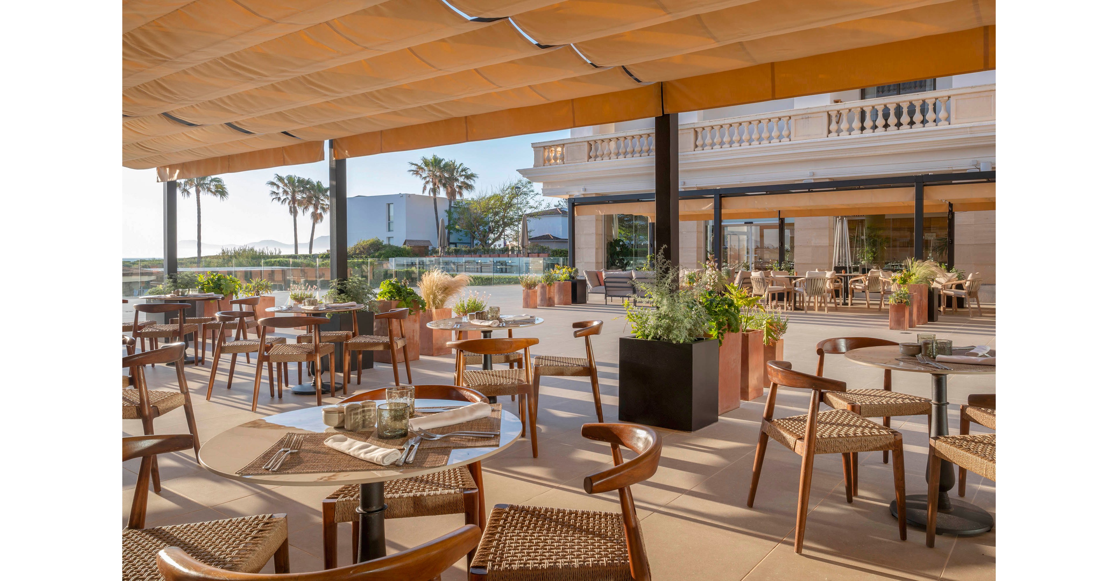 An elegant open-air restaurant terrace features wooden tables and woven chairs neatly arranged under a large retractable canopy. The setting overlooks a coastal area with palm trees and modern buildings in the background. Potted plants and greenery soften the space, creating a relaxed and inviting atmosphere. Warm natural light enhances the neutral tones of the furniture and architecture, suggesting a calm seaside dining experience.