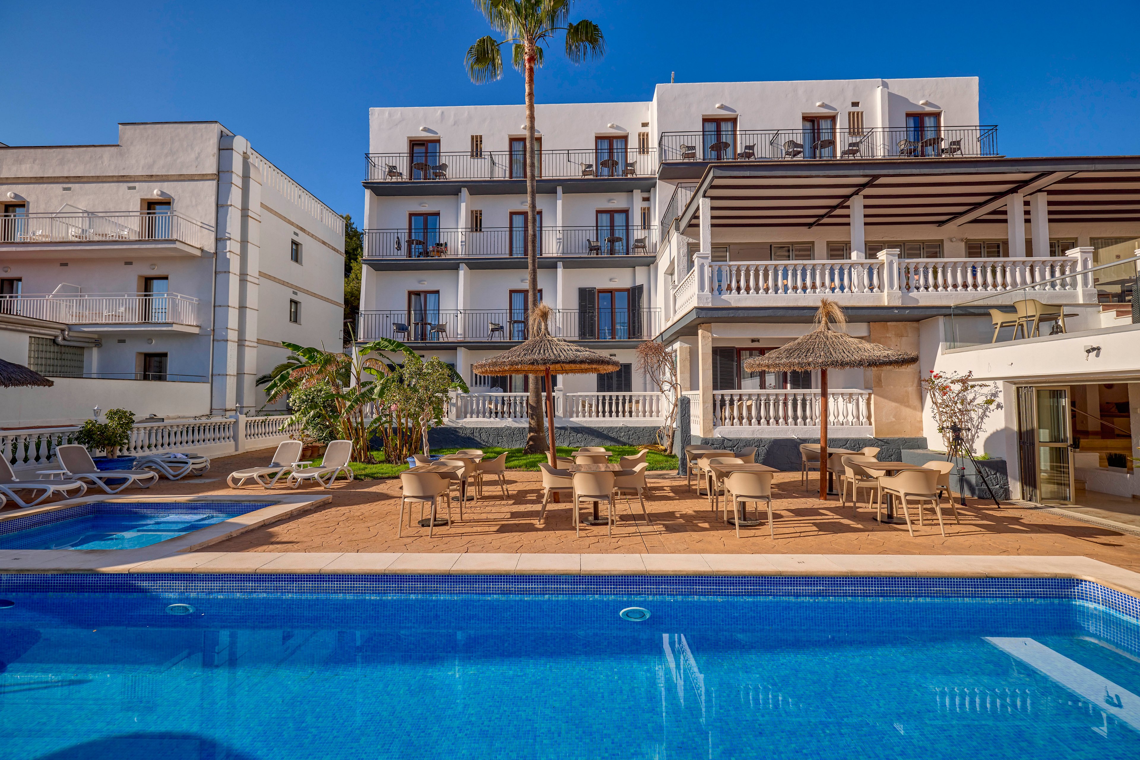 A mid-sized hotel building overlooks a clear blue outdoor swimming pool. The courtyard features sun loungers, tables, and chairs arranged under straw parasols. Balconies with railings line the upper floors, and a tall palm tree rises in front of the facade. Warm sunlight and a cloudless blue sky create a relaxed vacation atmosphere.