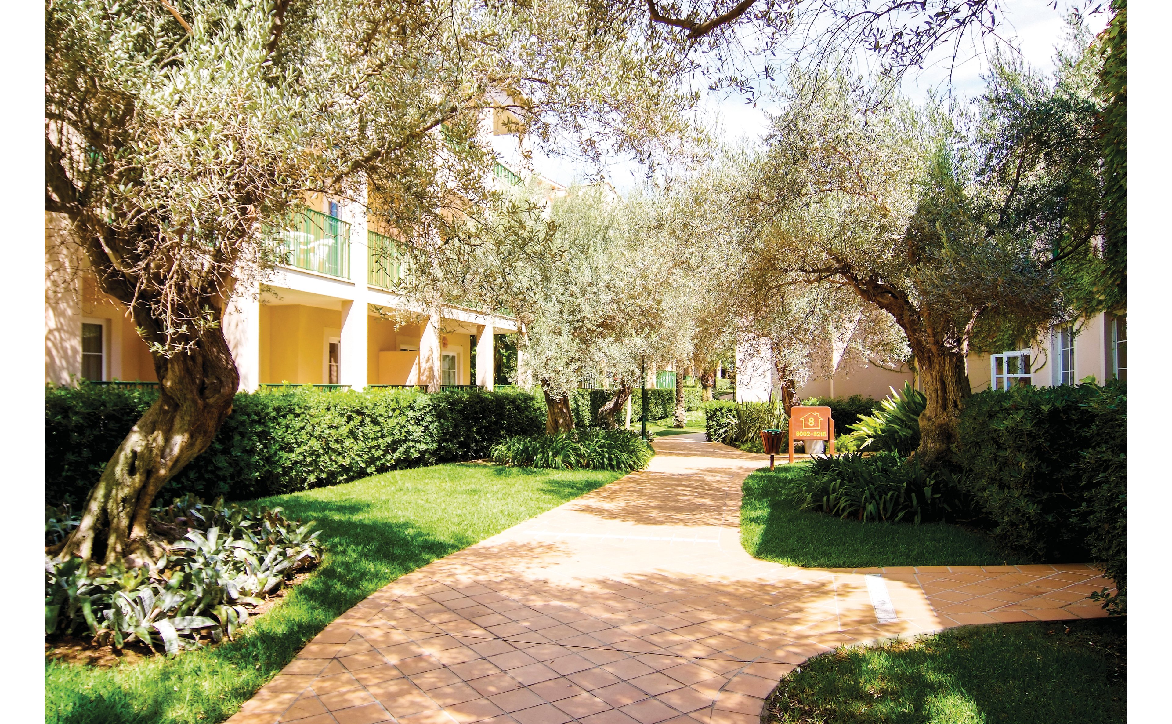 Zafiro Cala Mesquida