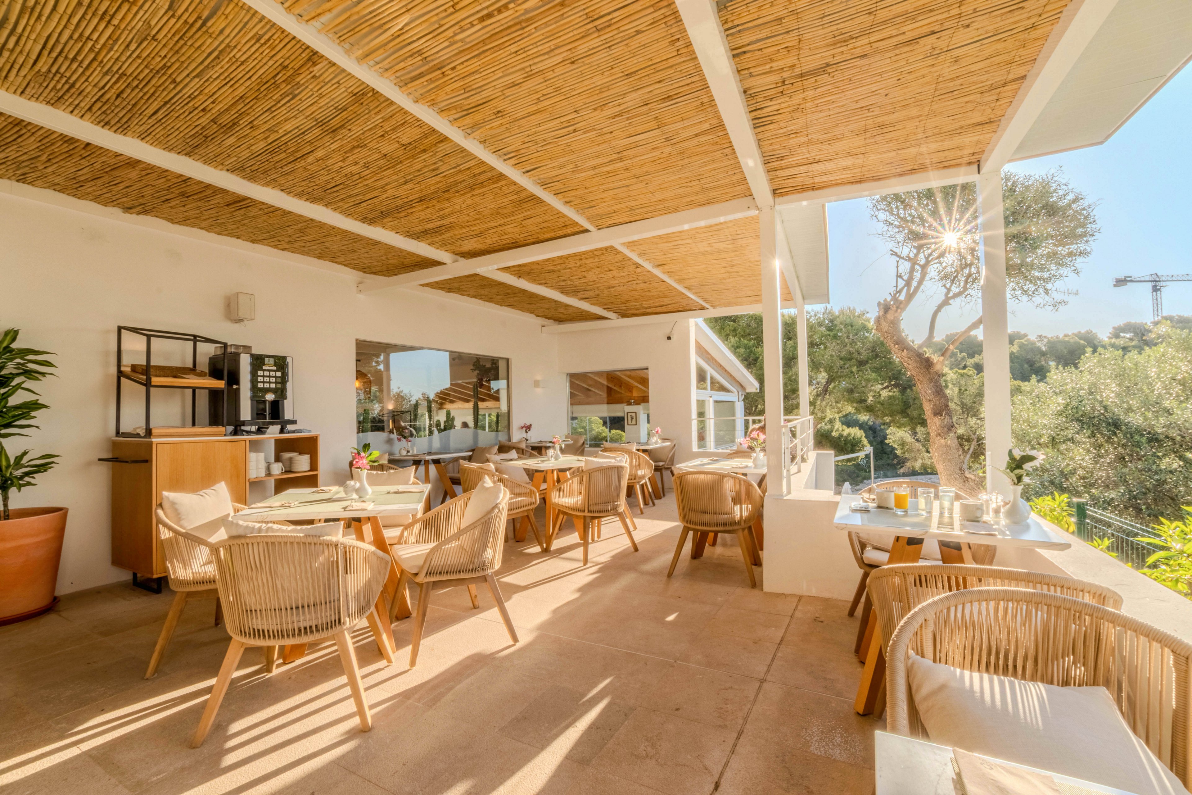 An inviting outdoor terrace cafe features light wicker chairs and wooden tables arranged under a bamboo-covered roof. Warm sunlight fills the space, highlighting neutral tones and natural materials. Large windows reflect the surrounding greenery, while potted plants add to the relaxed, airy atmosphere. The setting suggests a peaceful dining or coffee spot with a Mediterranean or coastal feel.