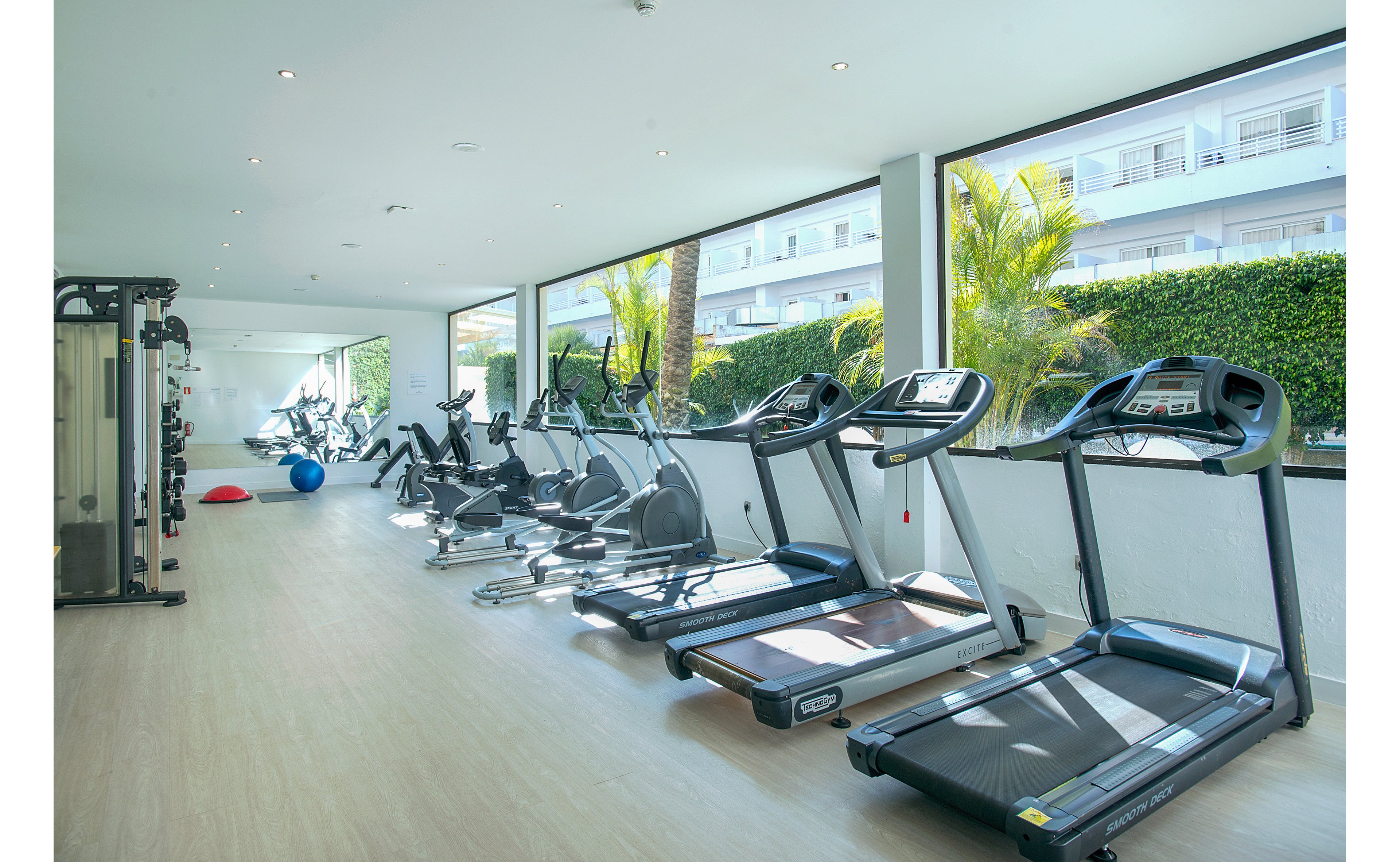 Zafiro Rey Don Jaime