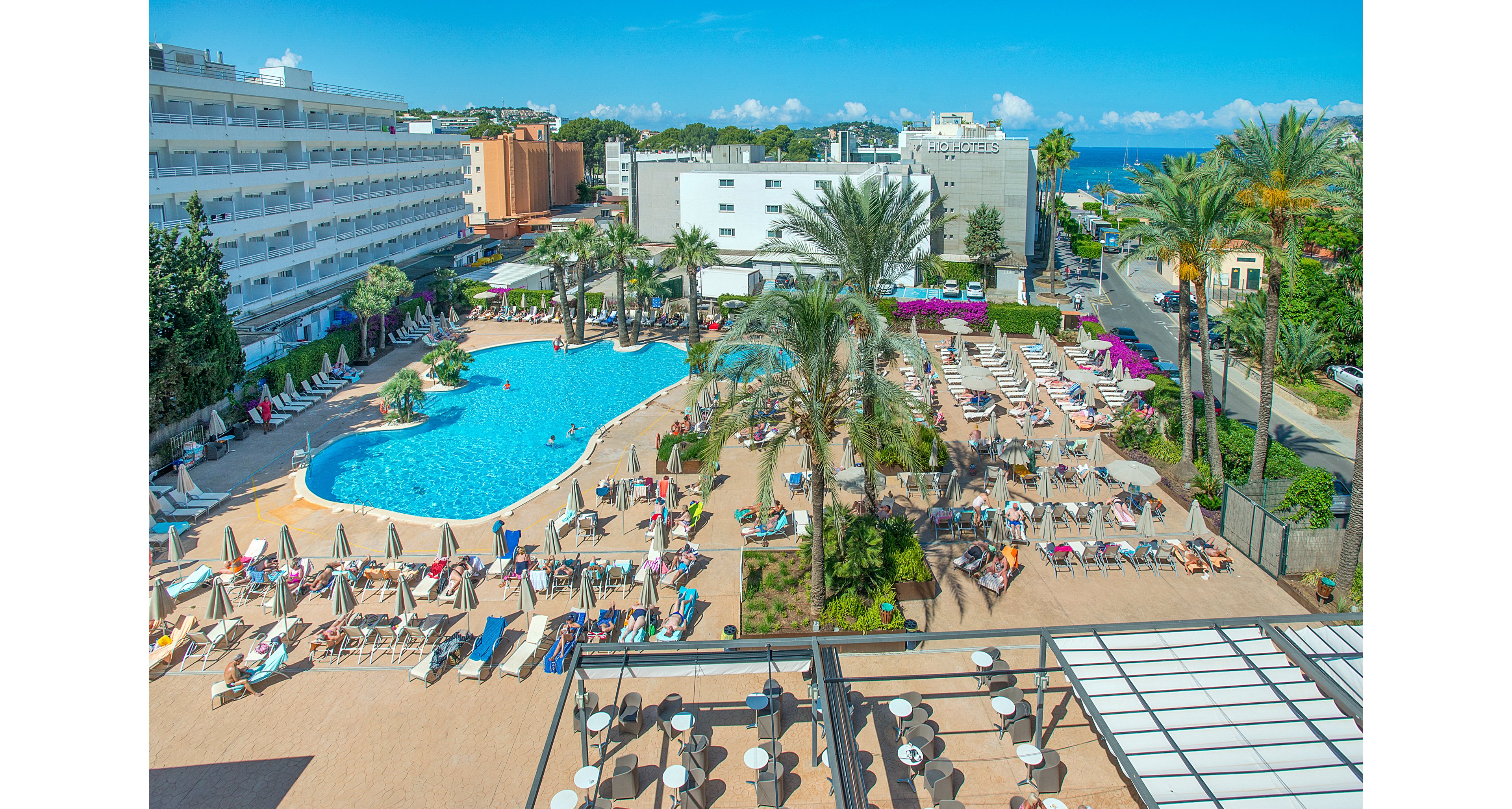 Zafiro Rey Don Jaime