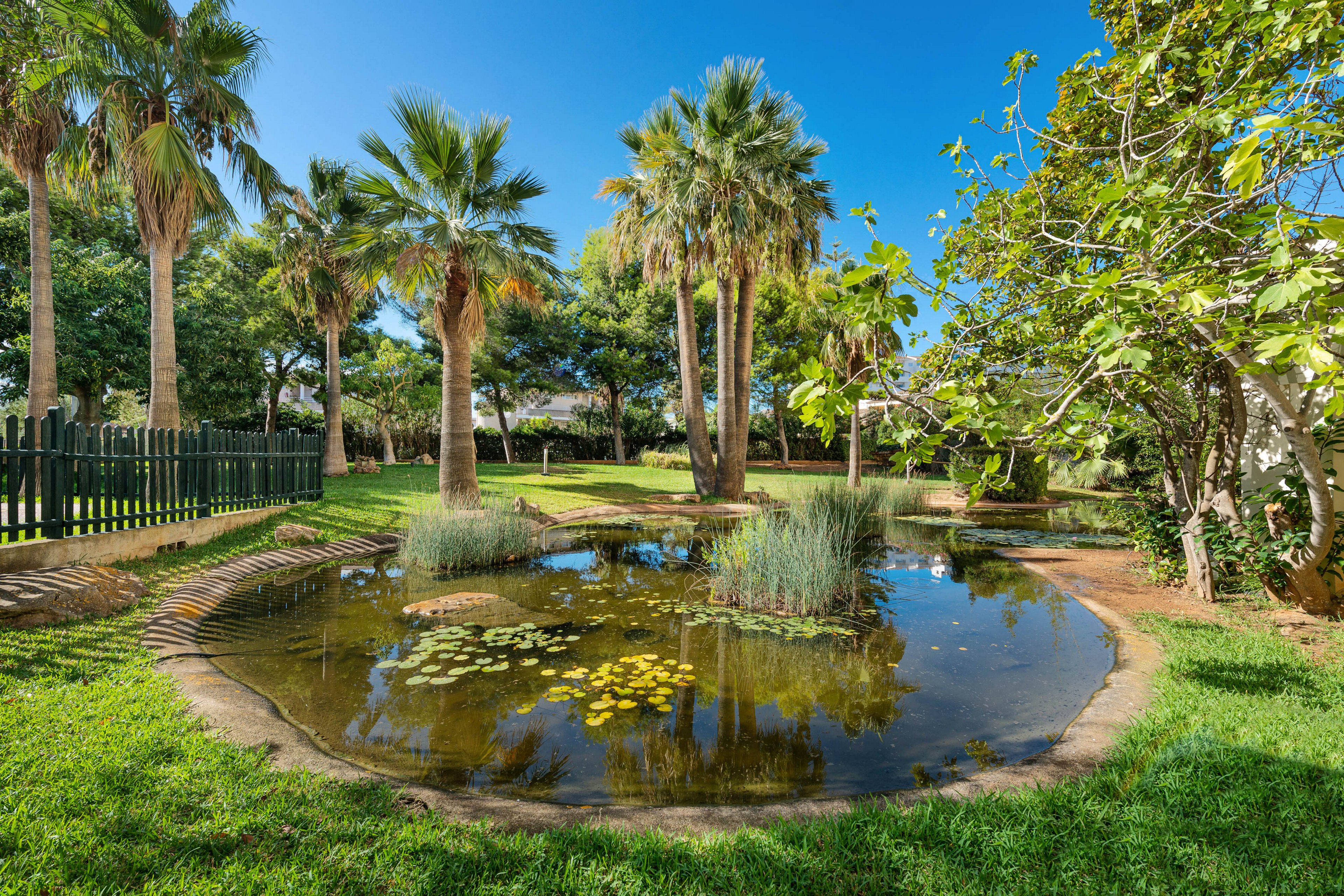 Welikehotel Marfil Playa