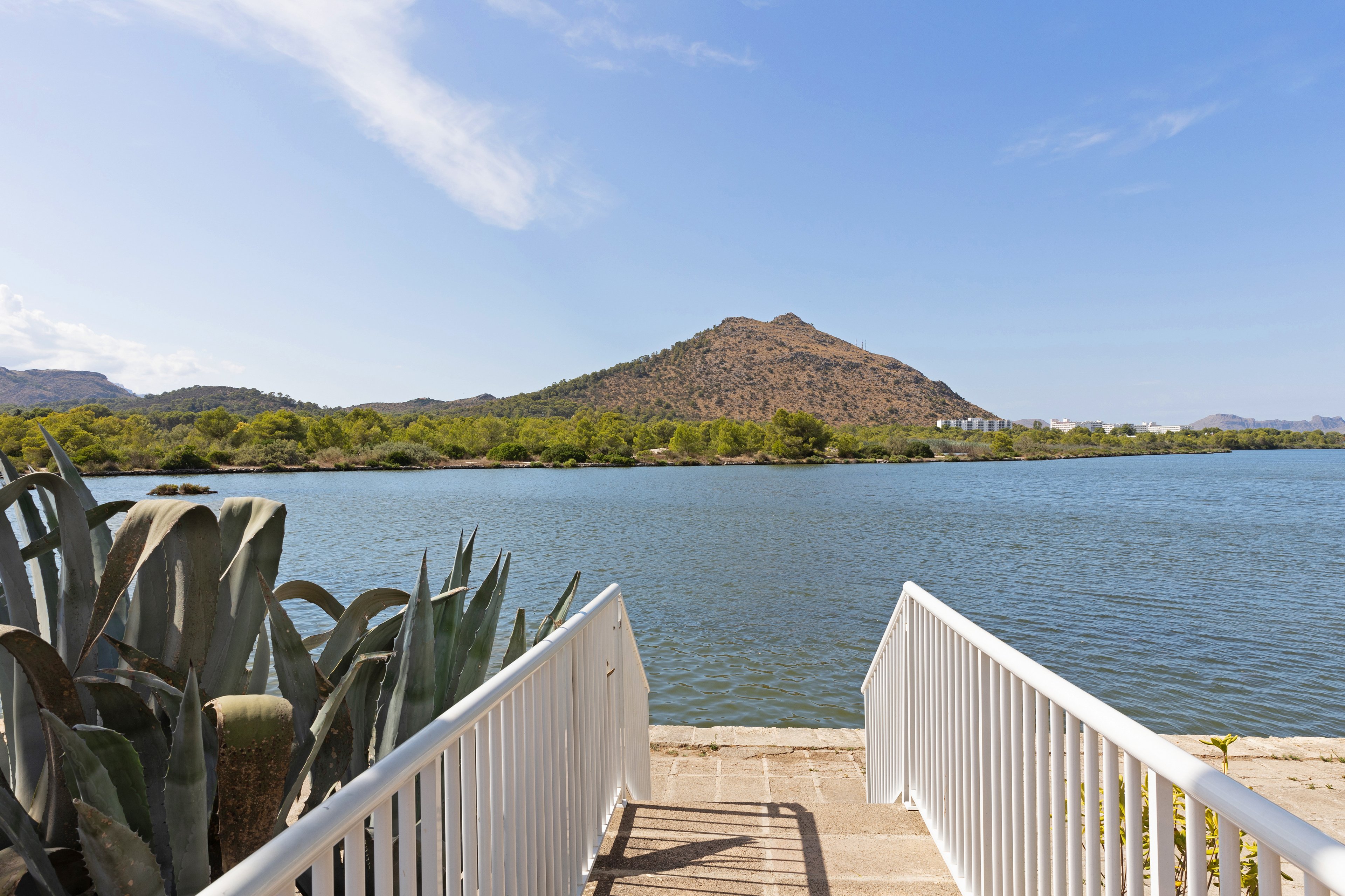 A white railing walkway leads down toward a calm blue lake. In the distance, a low hill covered with dry vegetation rises under a clear sky. Green trees line the far shore, adding contrast to the brown hillside. Large succulent plants frame the foreground on the left, enhancing the natural lakeside setting.