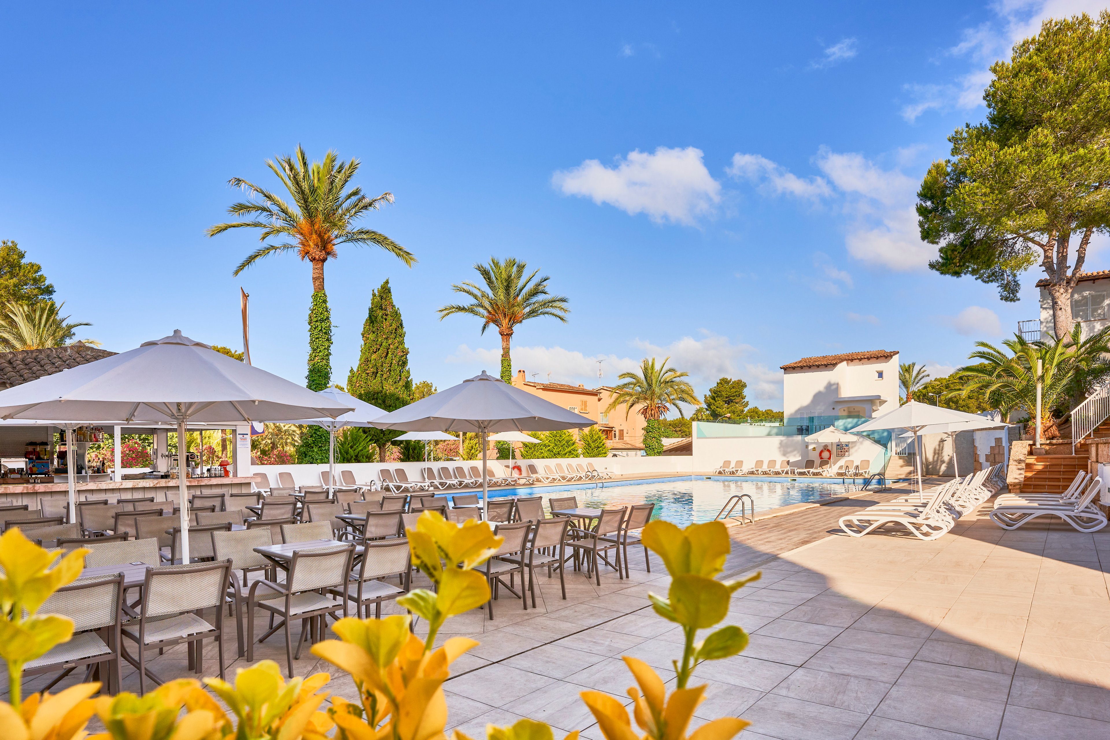 Globales Costa de la Calma