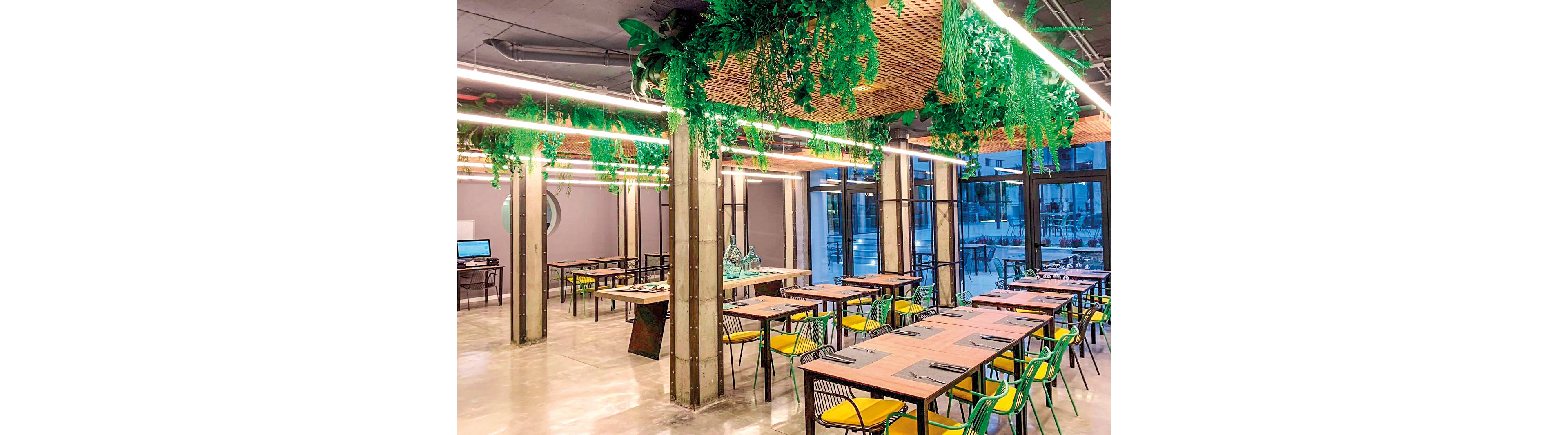 Hotel Paradiso Garden